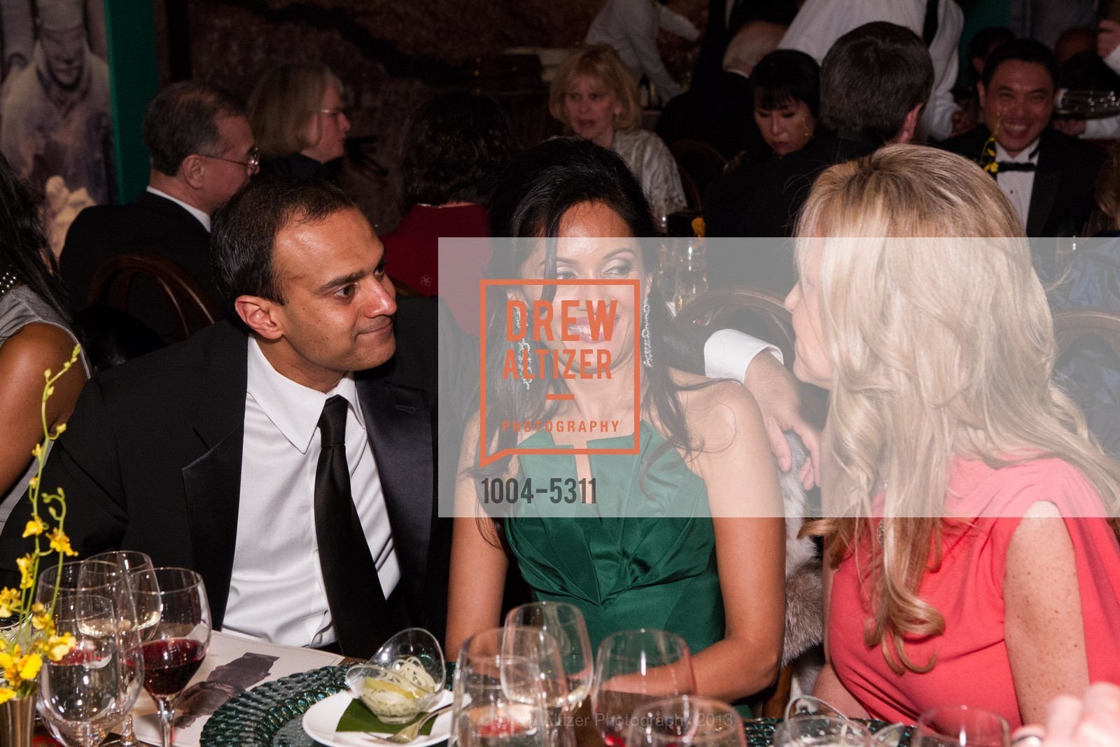 Gaurav Garg, Komal Shah, Opening Night Gala for the TERRACOTTA EXHIBITION, US, February 19th, 2013, Photo #1004-5311 Gaurav Garg, Komal Shah, Photo #1004-5311