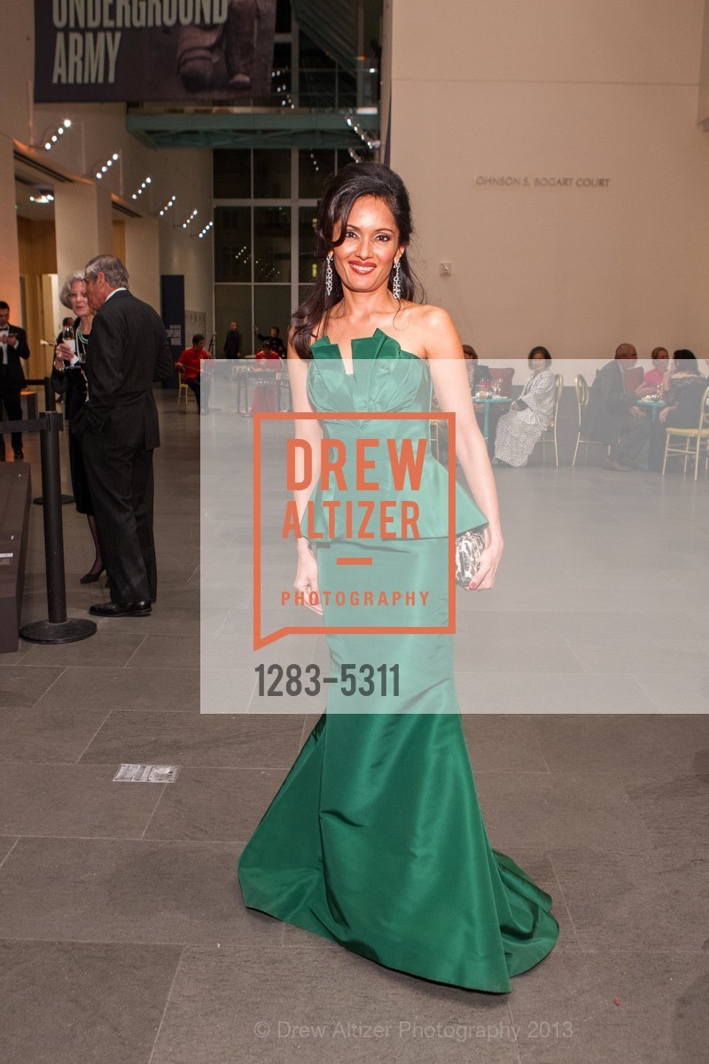 Komal Shah, Opening Night Gala for the TERRACOTTA EXHIBITION, US, February 19th, 2013, Photo #1283-5311 Komal Shah, Photo #1283-5311