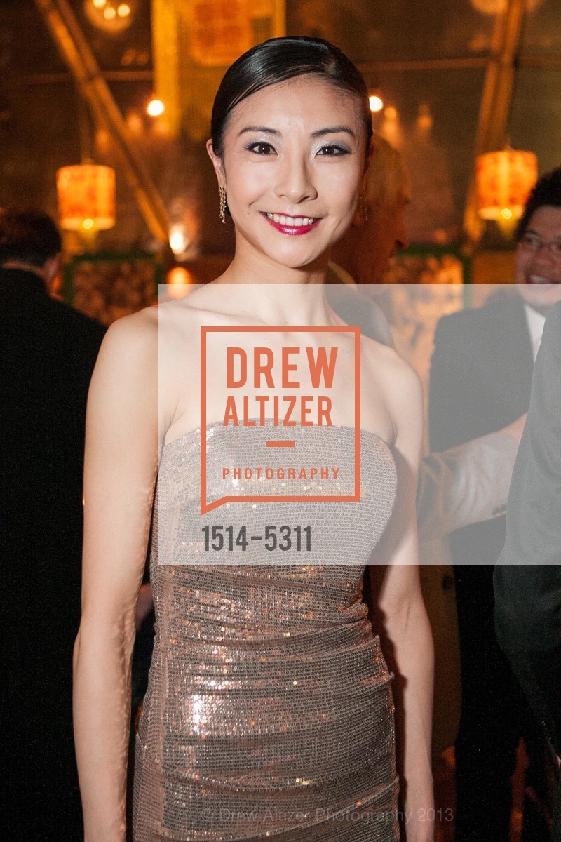 Yuan Yuan Tan, Opening Night Gala for the TERRACOTTA EXHIBITION, US, February 19th, 2013, Photo #1514-5311 Yuan Yuan Tan, Photo #1514-5311