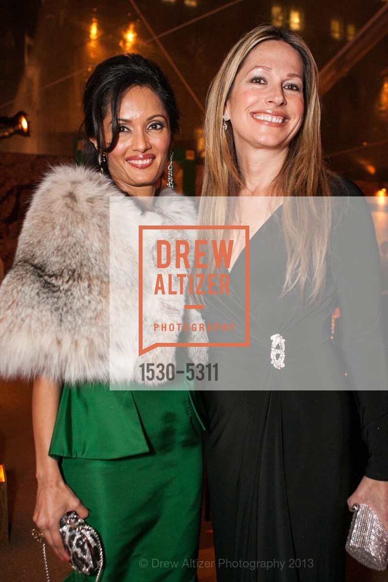 Komal Shah, Carolyne Zinko, Opening Night Gala for the TERRACOTTA EXHIBITION, US, February 19th, 2013, Photo #1530-5311 Komal Shah, Carolyne Zinko, Photo #1530-5311