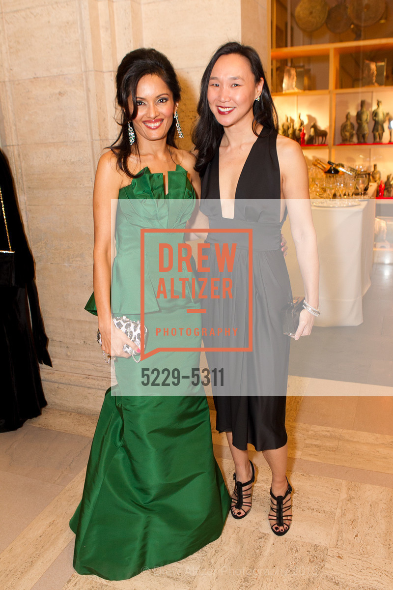 Komal Shah, Carolyn Chang, Opening Night Gala for the TERRACOTTA EXHIBITION, US, February 19th, 2013, Photo #5229-5311 Komal Shah, Carolyn Chang, Photo #5229-5311