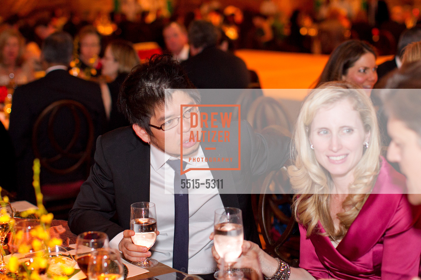 Stephen Wong, Opening Night Gala for the TERRACOTTA EXHIBITION, US, February 19th, 2013, Photo #5515-5311 Stephen Wong, Photo #5515-5311