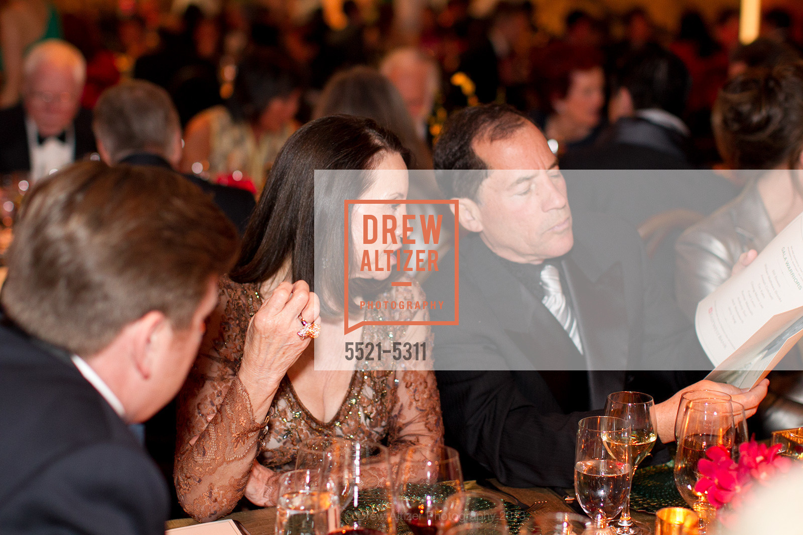 Opening Night Gala for the TERRACOTTA EXHIBITION, US, February 19th, 2013, Photo #5521-5311 Photo #5521-5311