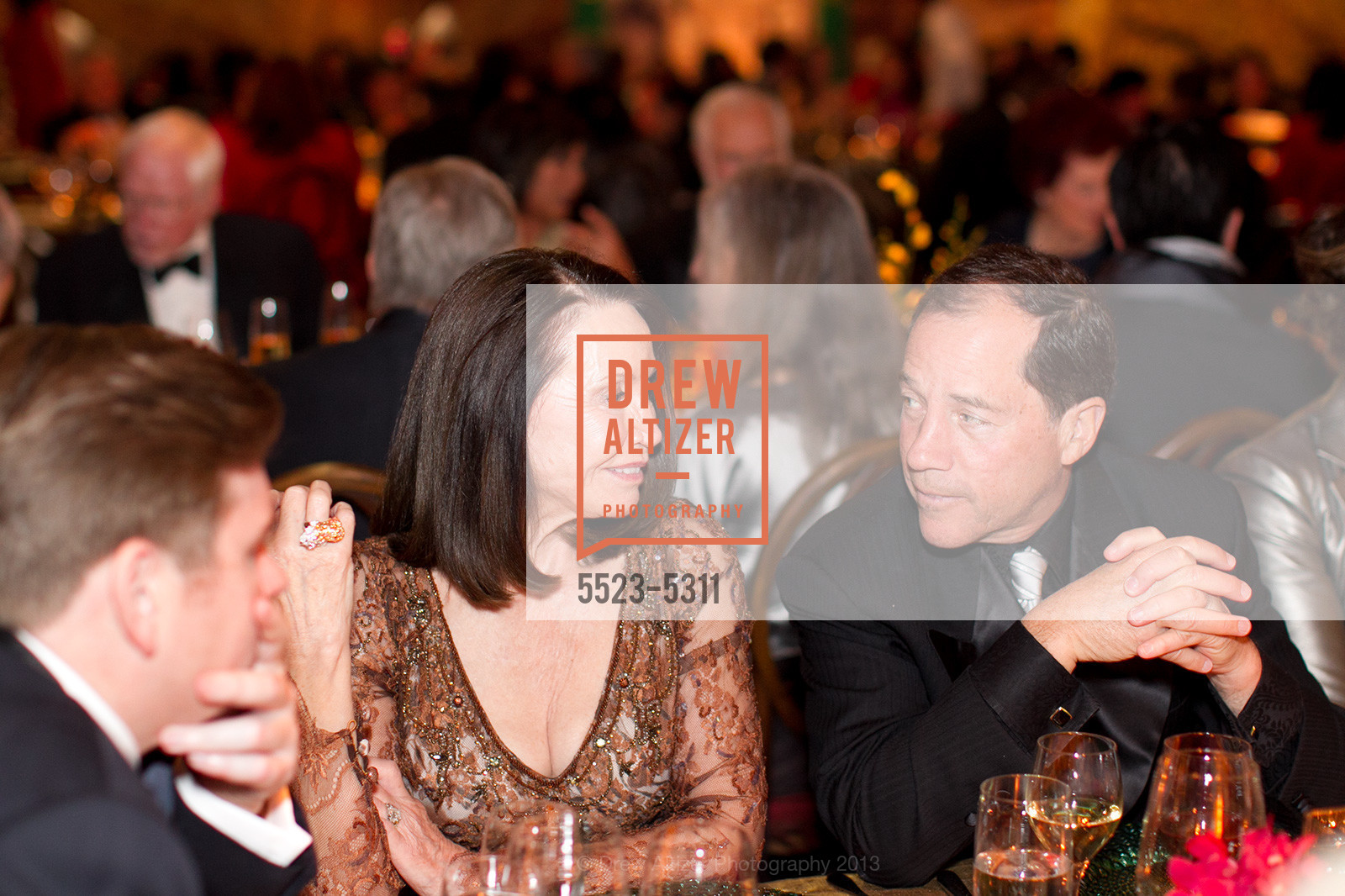 Opening Night Gala for the TERRACOTTA EXHIBITION, US, February 19th, 2013, Photo #5523-5311 Photo #5523-5311