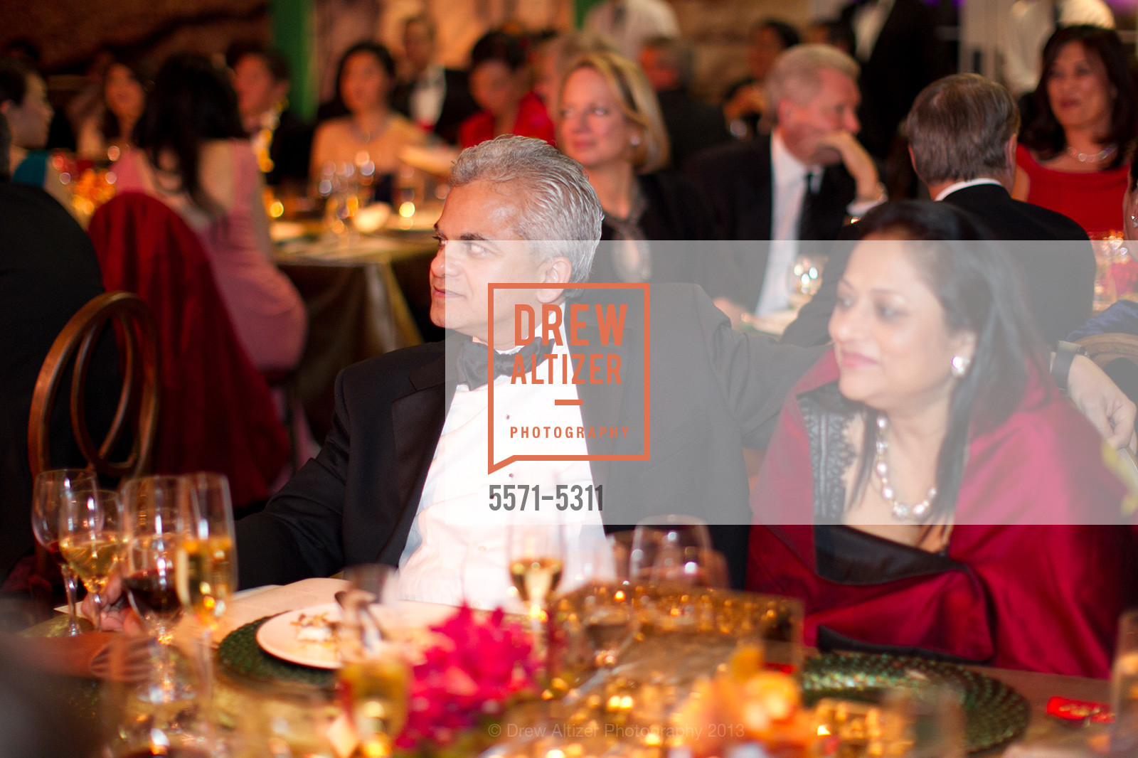 Vijay Advani, Swati Advani, Opening Night Gala for the TERRACOTTA EXHIBITION, US, February 19th, 2013, Photo #5571-5311 Vijay Advani, Swati Advani, Photo #5571-5311