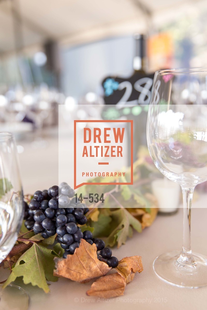 Atmosphere, Perfecting Pairings - Food, Wine and Stories, Chateau St Jean, Kenwood, November 14th, 2015,Drew Altizer, Drew Altizer Photography, full-service agency, private events, San Francisco photographer, photographer california