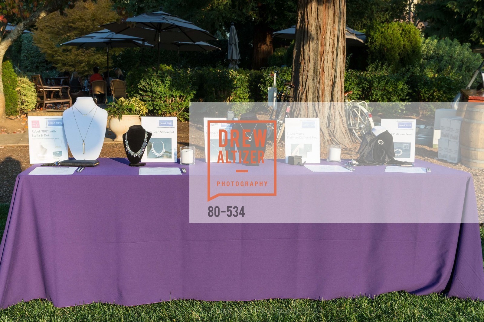 Atmosphere, Perfecting Pairings - Food, Wine and Stories, Chateau St Jean, Kenwood, November 14th, 2015,Drew Altizer, Drew Altizer Photography, full-service agency, private events, San Francisco photographer, photographer california
