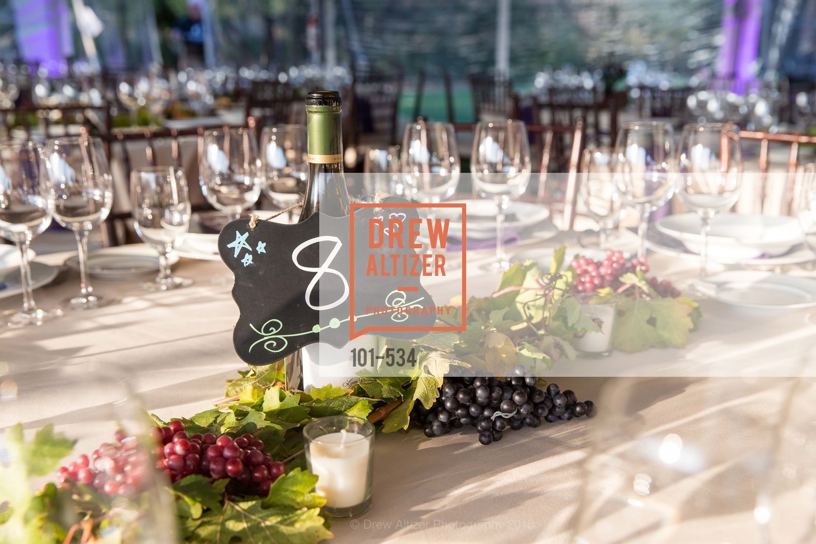 Atmosphere, Perfecting Pairings - Food, Wine and Stories, Chateau St Jean, Kenwood, November 14th, 2015,Drew Altizer, Drew Altizer Photography, full-service agency, private events, San Francisco photographer, photographer california