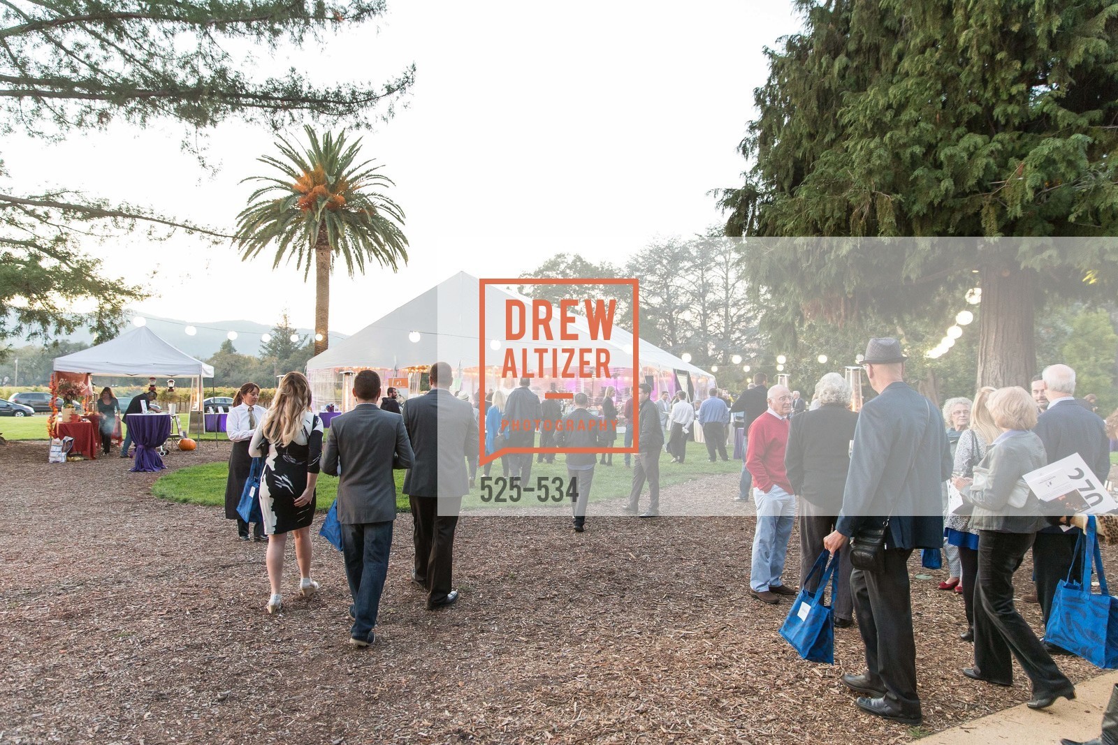 Atmosphere, Perfecting Pairings - Food, Wine and Stories, Chateau St Jean, Kenwood, November 14th, 2015,Drew Altizer, Drew Altizer Photography, full-service agency, private events, San Francisco photographer, photographer california