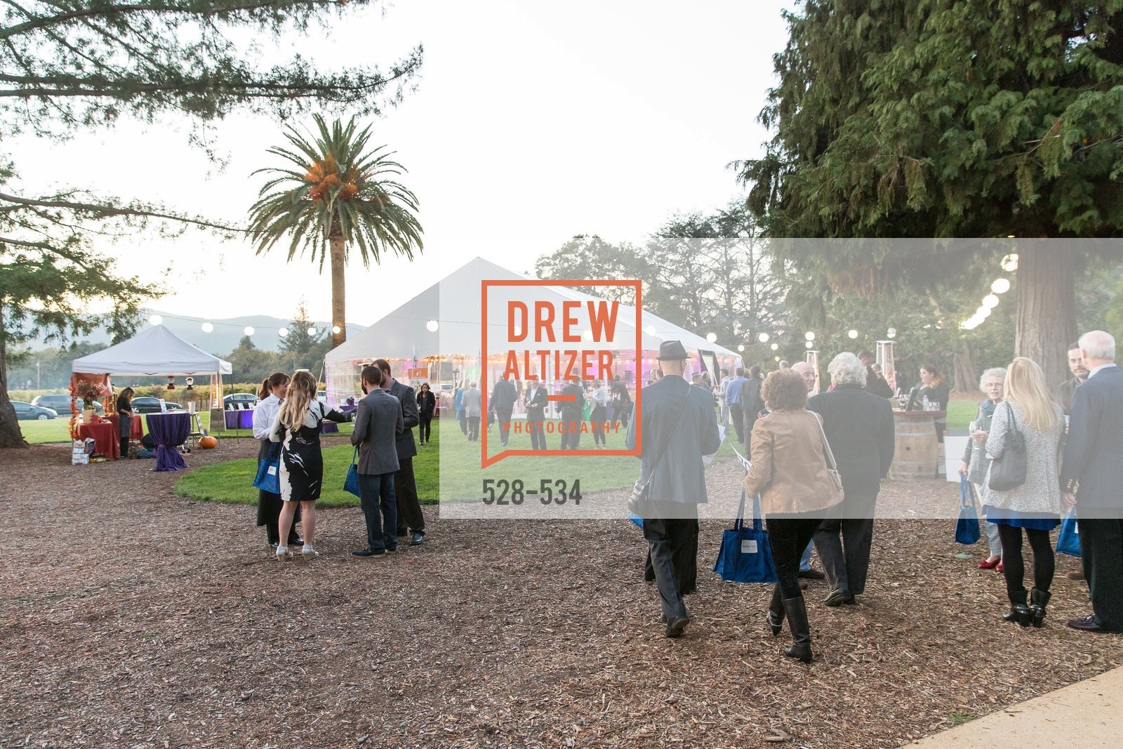 Atmosphere, Perfecting Pairings - Food, Wine and Stories, Chateau St Jean, Kenwood, November 14th, 2015,Drew Altizer, Drew Altizer Photography, full-service agency, private events, San Francisco photographer, photographer california