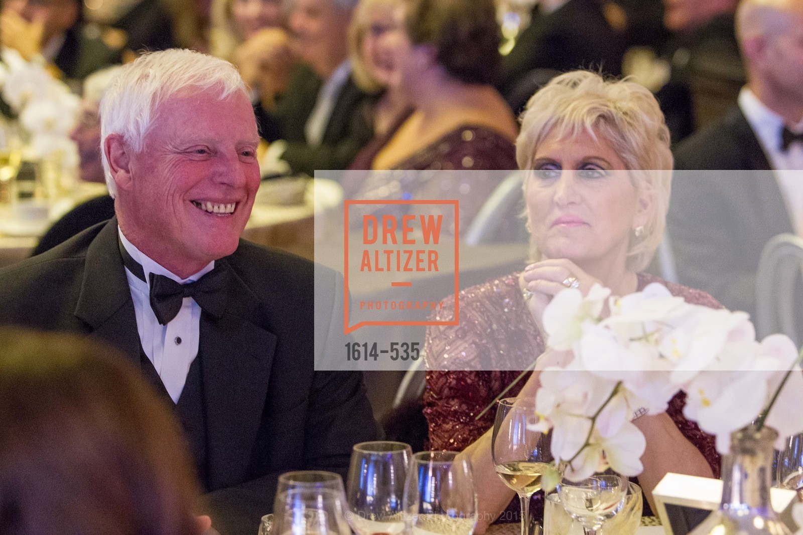 Top Picks, Hellenic Charity Ball, November 14th, 2015, Photo