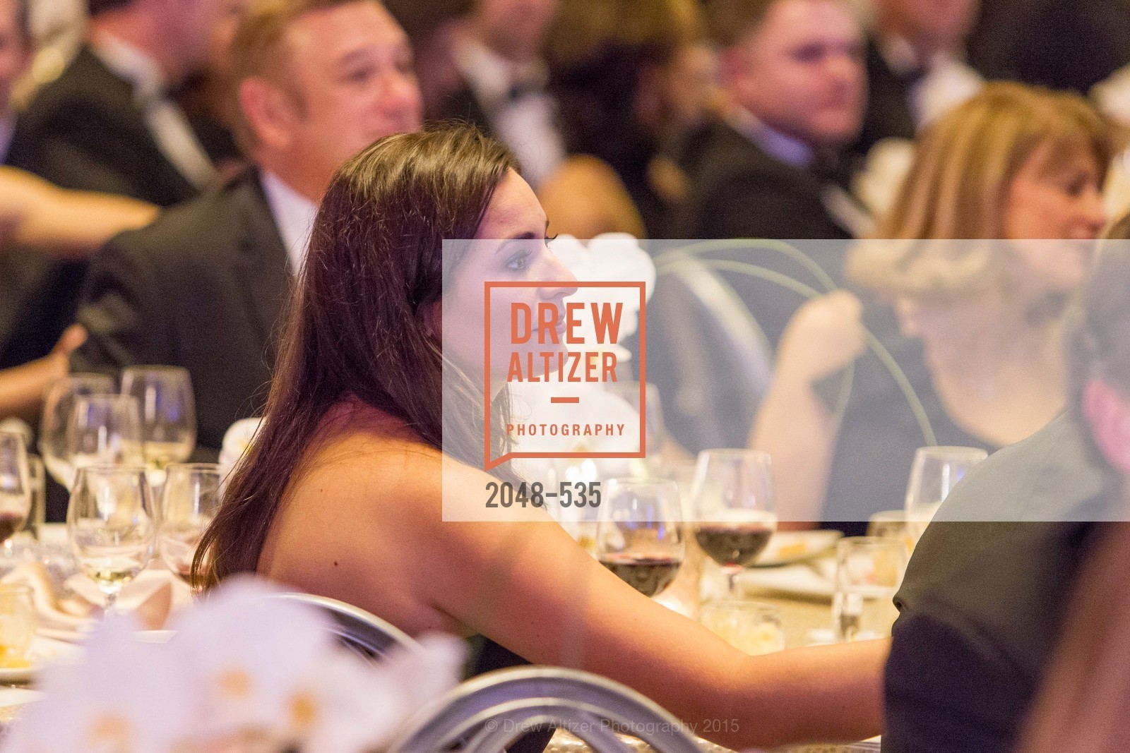 Top Picks, Hellenic Charity Ball, November 14th, 2015, Photo,Drew Altizer, Drew Altizer Photography, full-service agency, private events, San Francisco photographer, photographer california