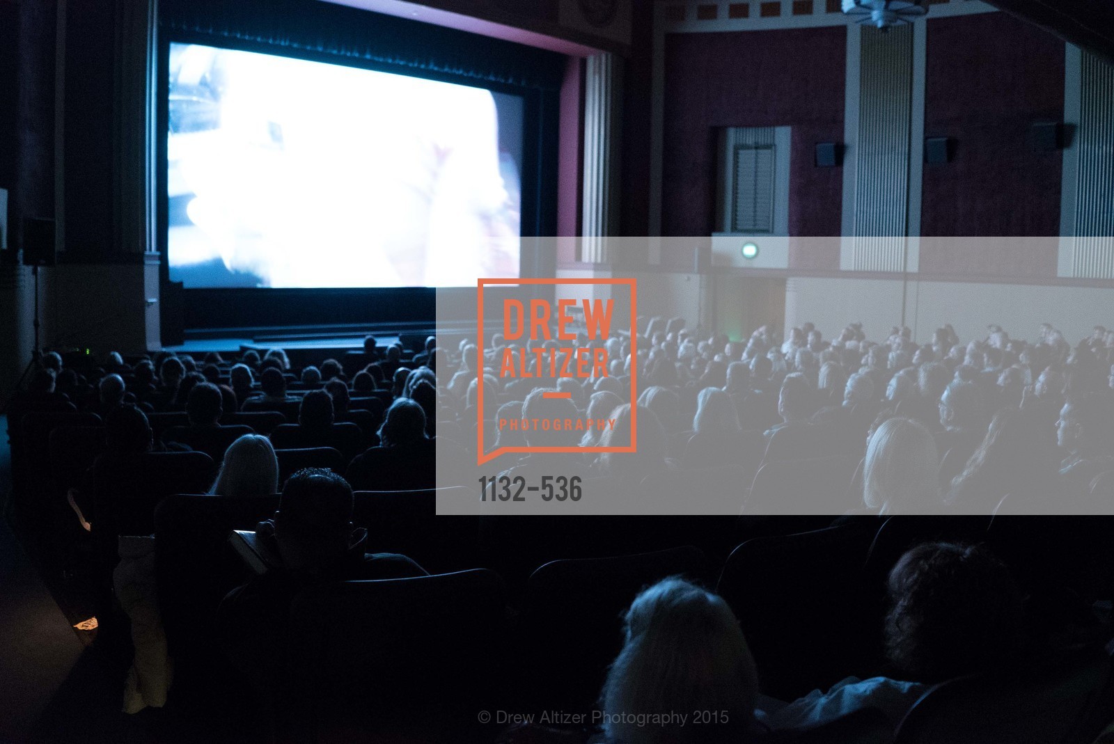 Stage, AMY Screening with Director Asif Kapadia and Lars Ulrich, Christopher B. Smith Rafael Film Center. 1118 Fourth Street, November 15th, 2015,Drew Altizer, Drew Altizer Photography, full-service event agency, private events, San Francisco photographer, photographer California