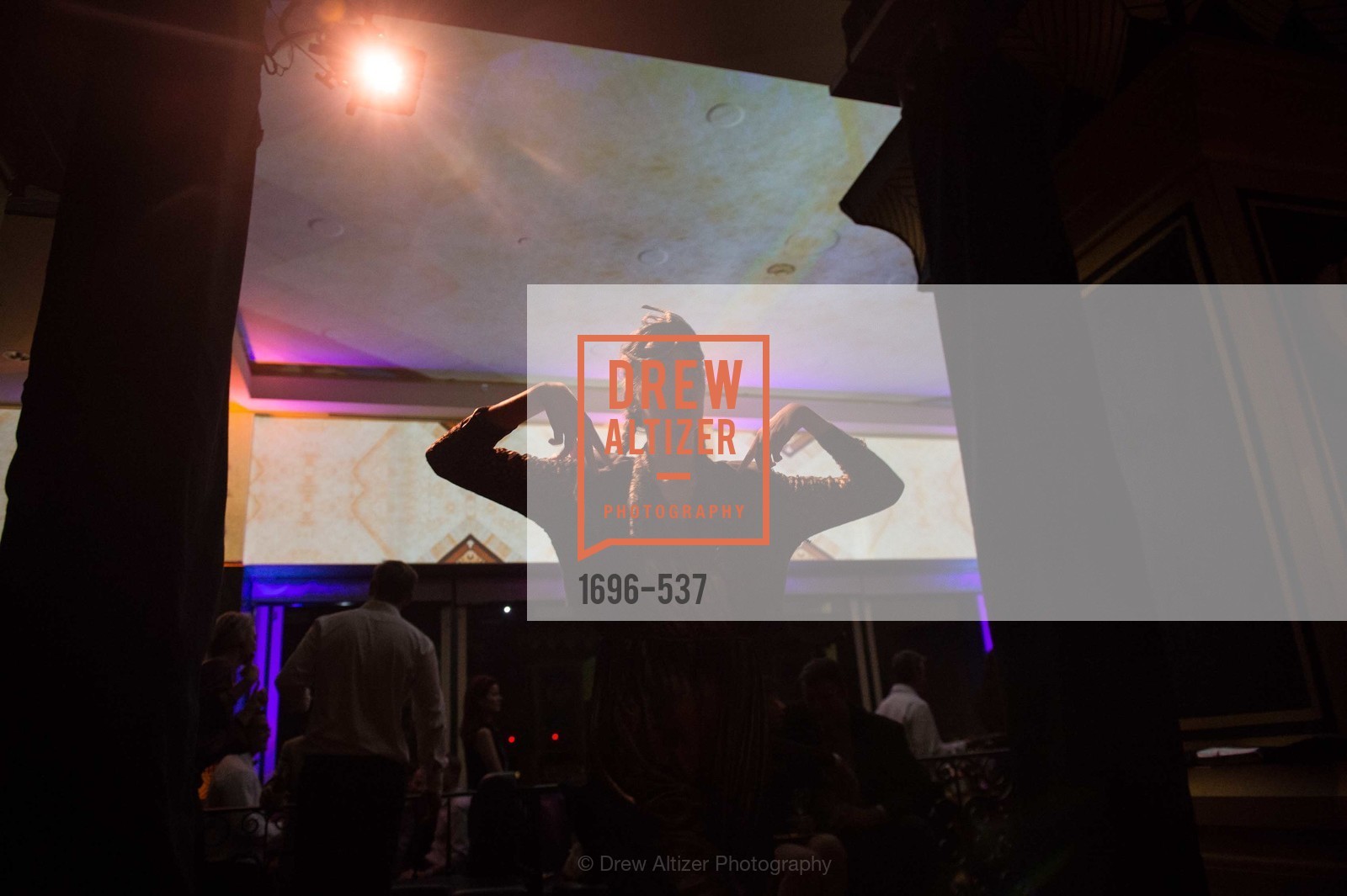 Atmosphere, TOP OF THE MARK'S 75TH Anniversary Party, US, November 7th, 2014,Drew Altizer, Drew Altizer Photography, full-service agency, private events, San Francisco photographer, photographer california