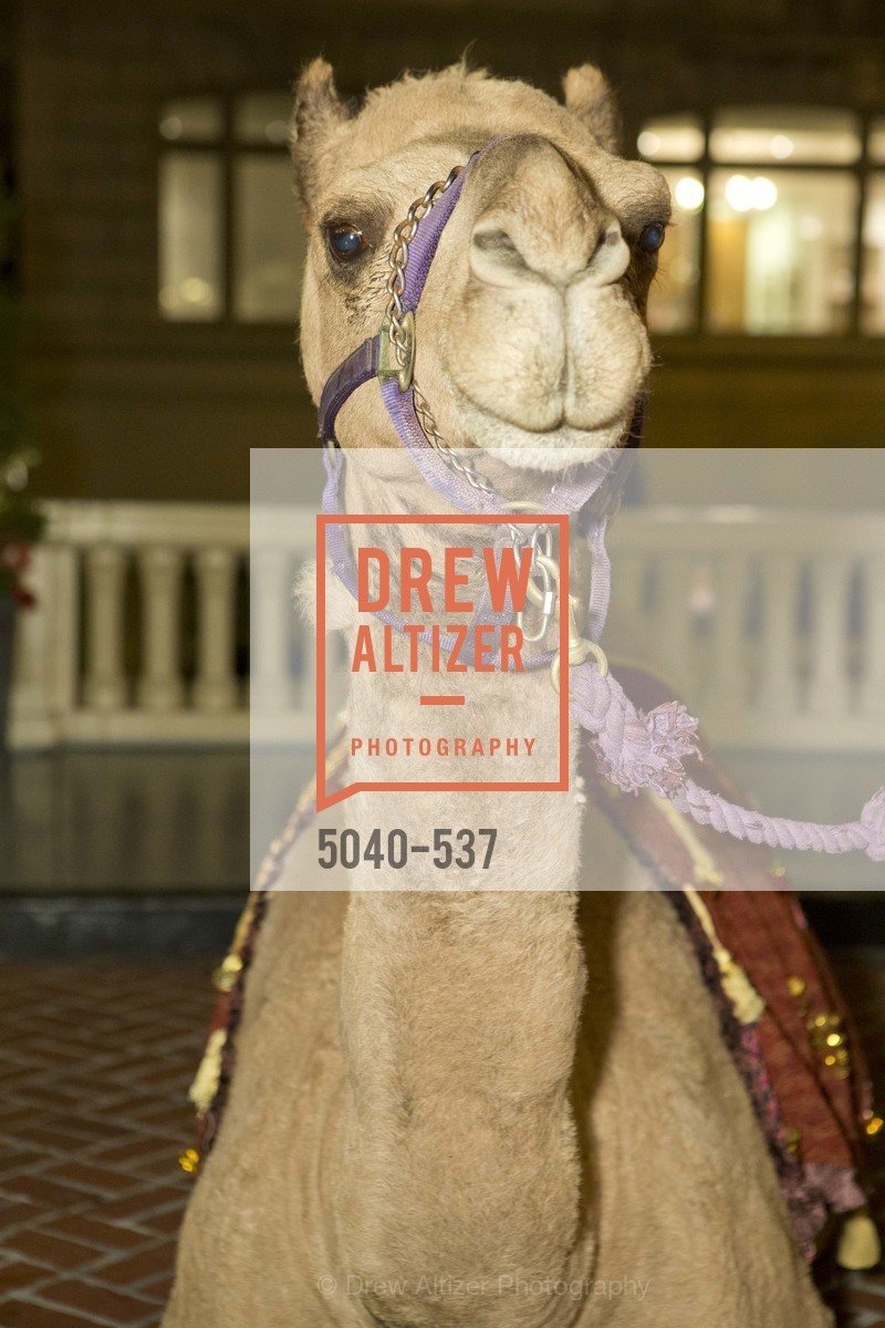 Atmosphere, TOP OF THE MARK'S 75TH Anniversary Party, US, November 7th, 2014,Drew Altizer, Drew Altizer Photography, full-service agency, private events, San Francisco photographer, photographer california