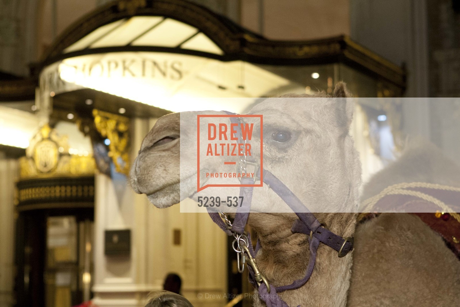 Atmosphere, TOP OF THE MARK'S 75TH Anniversary Party, US, November 7th, 2014,Drew Altizer, Drew Altizer Photography, full-service agency, private events, San Francisco photographer, photographer california
