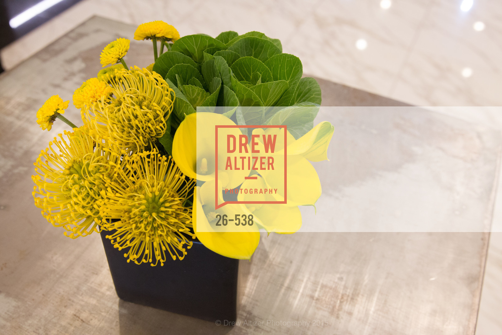 Atmosphere, East Bay Innovation Forum, November 17th, 2015, Photo,Drew Altizer, Drew Altizer Photography, full-service agency, private events, San Francisco photographer, photographer california