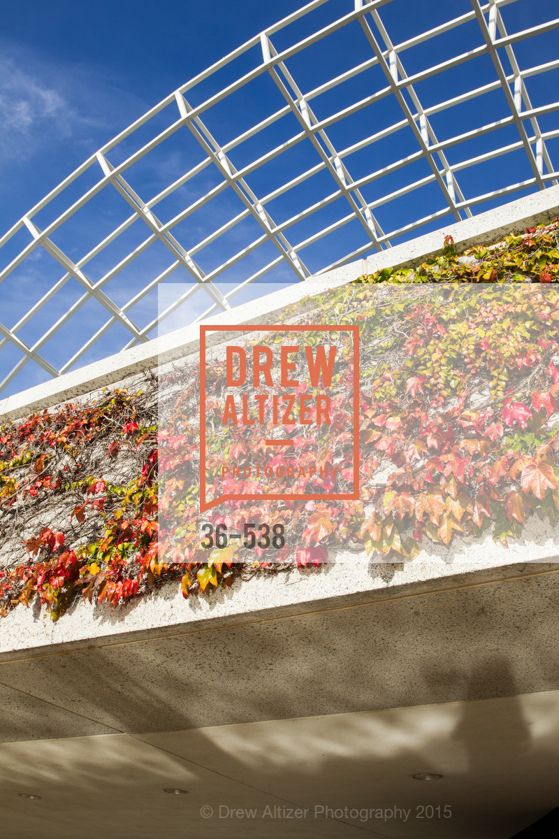 Atmosphere, East Bay Innovation Forum, November 17th, 2015, Photo,Drew Altizer, Drew Altizer Photography, full-service agency, private events, San Francisco photographer, photographer california