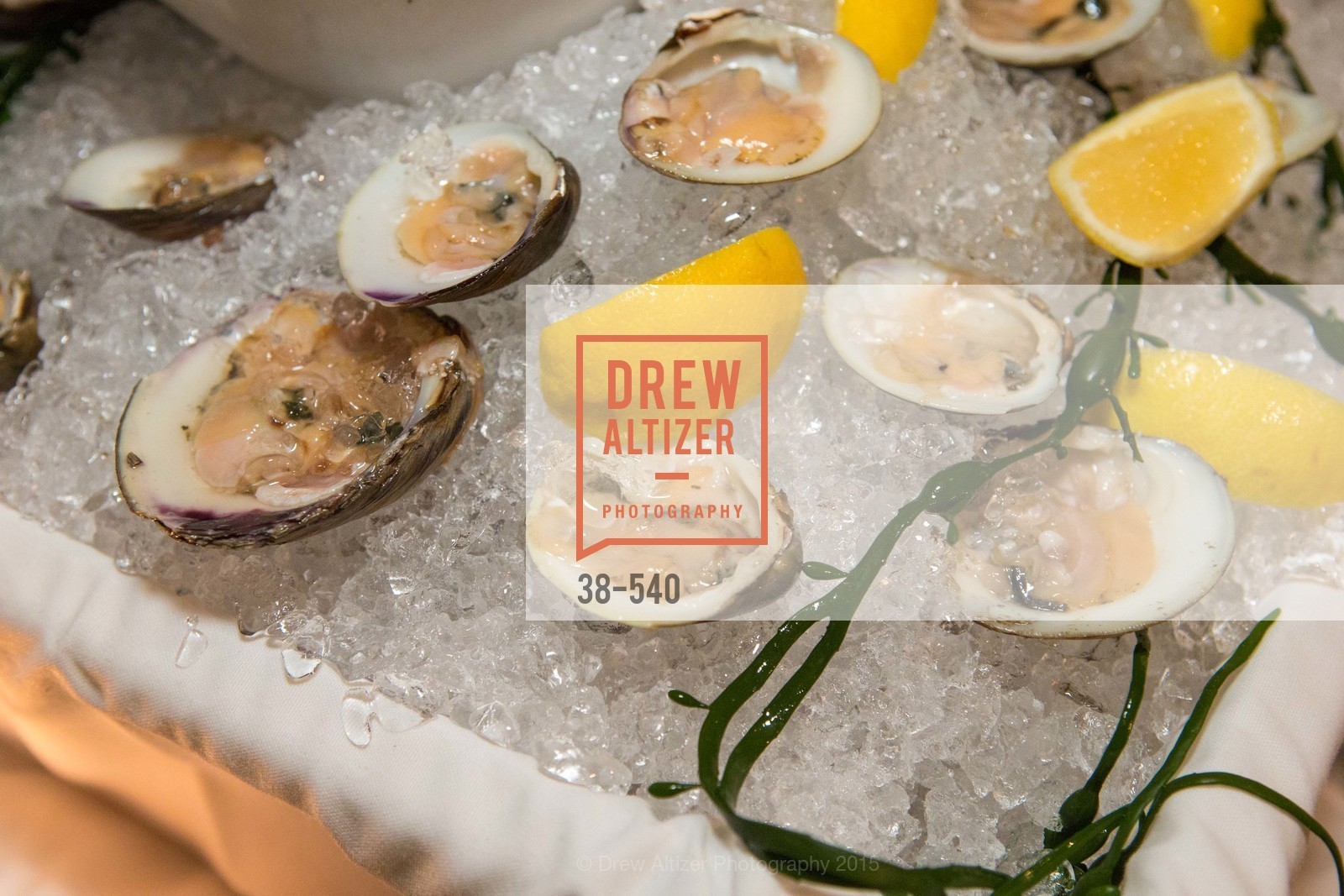 Atmosphere, Reverse Mortgage Funding's Annual Client Appreciation Event, November 17th, 2015, Photo,Drew Altizer, Drew Altizer Photography, full-service agency, private events, San Francisco photographer, photographer california