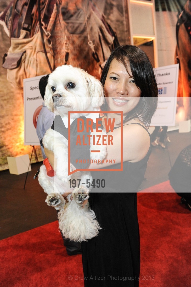 Elaine Sy, Casper, CLAW presents the 17th Annual Bark & Whine Ball Benefitting the SFSPCA, US, March 20th, 2013, Photo #197-5490 Elaine Sy, Casper, Photo #197-5490