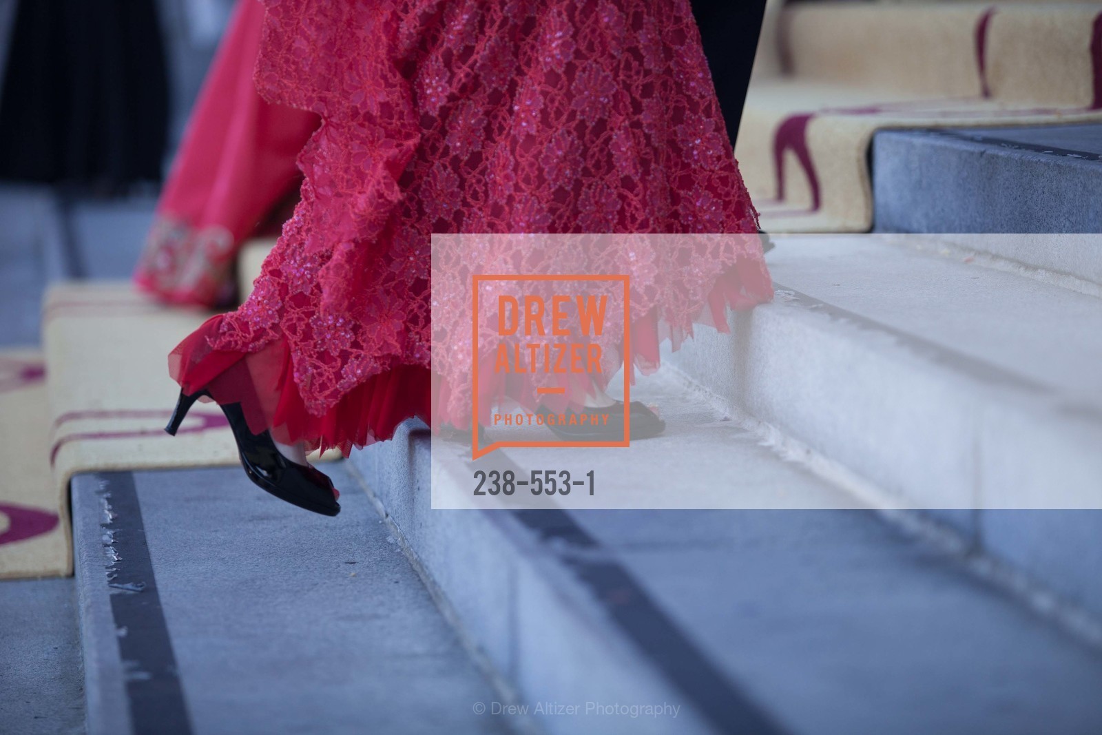 Detail, SAN FRANCISCO OPERA'S 92nd Opera Ball 2014: PASSIONE, September 5th, 2014, Photo,Drew Altizer, Drew Altizer Photography, full-service event agency, private events, San Francisco photographer, photographer California