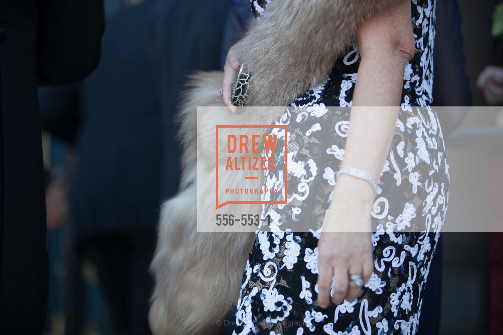 Detail, SAN FRANCISCO OPERA'S 92nd Opera Ball 2014: PASSIONE, September 5th, 2014, Photo,Drew Altizer, Drew Altizer Photography, full-service agency, private events, San Francisco photographer, photographer california