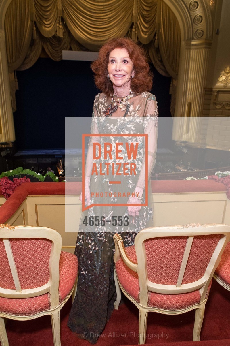 Extras, SAN FRANCISCO OPERA'S 92nd Opera Ball 2014: PASSIONE, September 5th, 2014, Photo,Drew Altizer, Drew Altizer Photography, full-service agency, private events, San Francisco photographer, photographer california