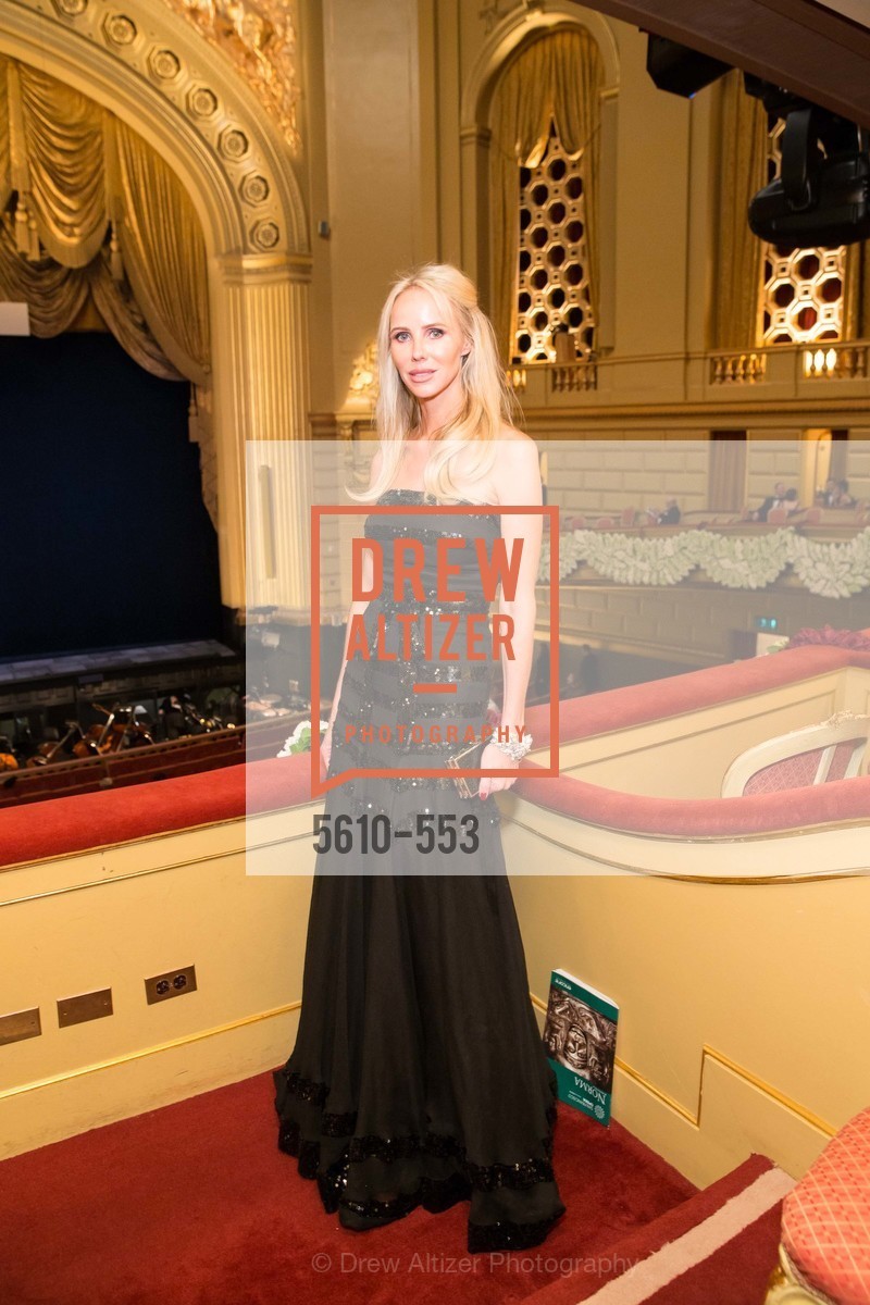 Top Picks, SAN FRANCISCO OPERA'S 92nd Opera Ball 2014: PASSIONE, September 5th, 2014, Photo,Drew Altizer, Drew Altizer Photography, full-service agency, private events, San Francisco photographer, photographer california