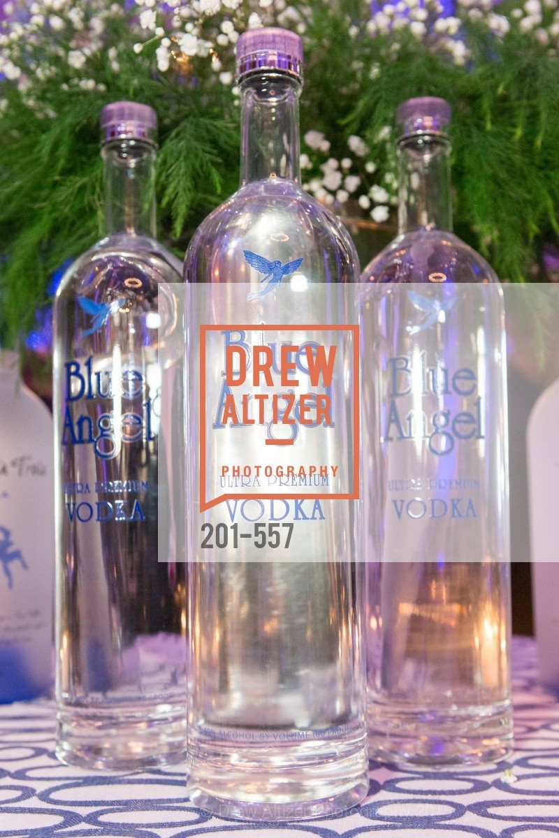 Atmosphere, Cirque du Soiree 2015, The Bentley Reserve. 2525 Van Ness St, November 19th, 2015,Drew Altizer, Drew Altizer Photography, full-service agency, private events, San Francisco photographer, photographer california