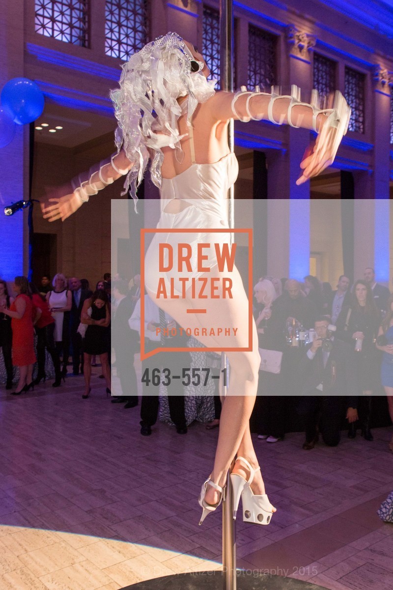 Performance, Cirque du Soiree 2015, The Bentley Reserve. 2525 Van Ness St, November 19th, 2015, Photo #463-557-1 Performance, Photo #463-557-1