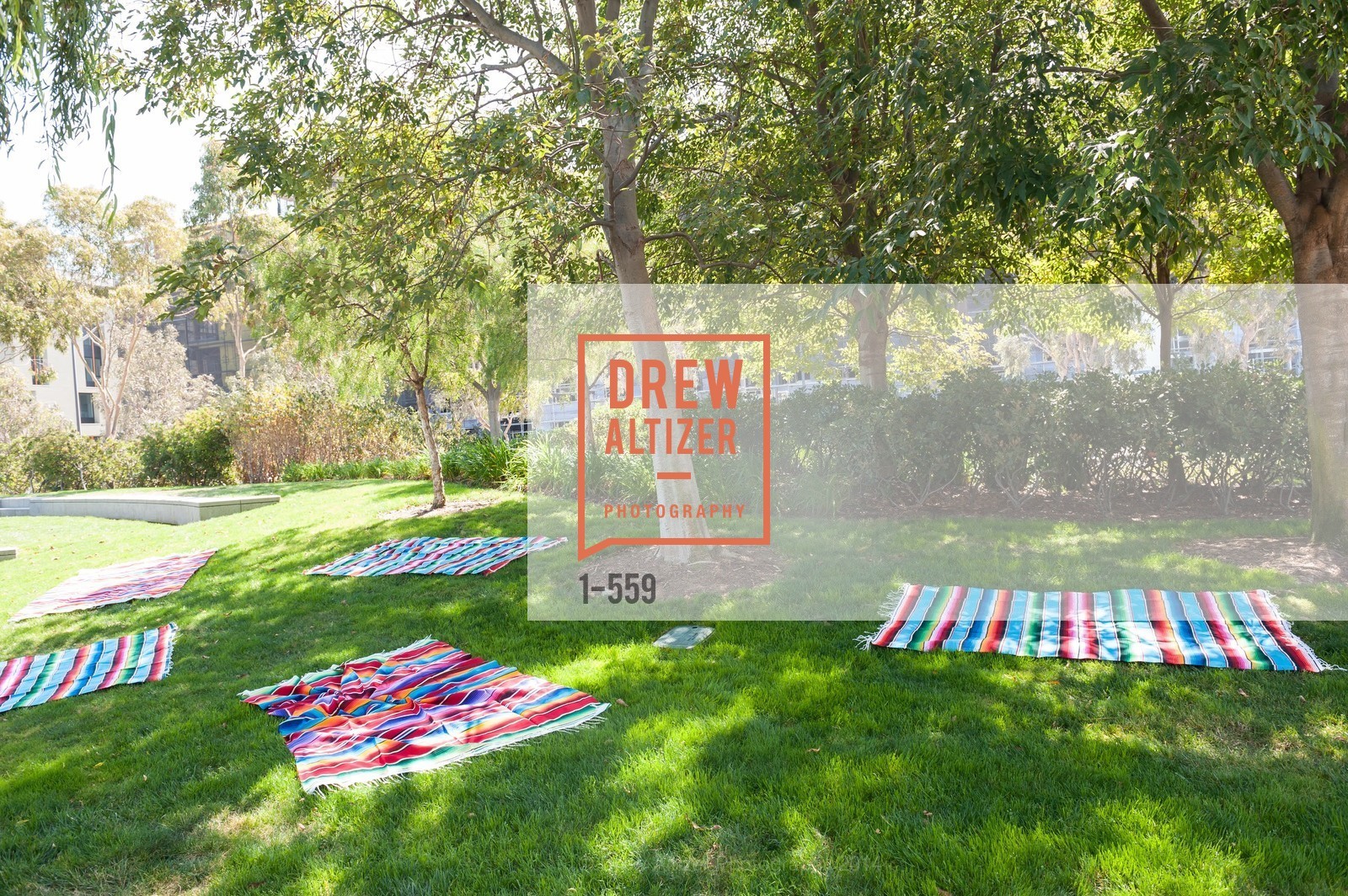 140906-Fusion, PRACTICE FUSION Company Picnic 2014, September 6th, 2014, Photo,Drew Altizer, Drew Altizer Photography, full-service agency, private events, San Francisco photographer, photographer california
