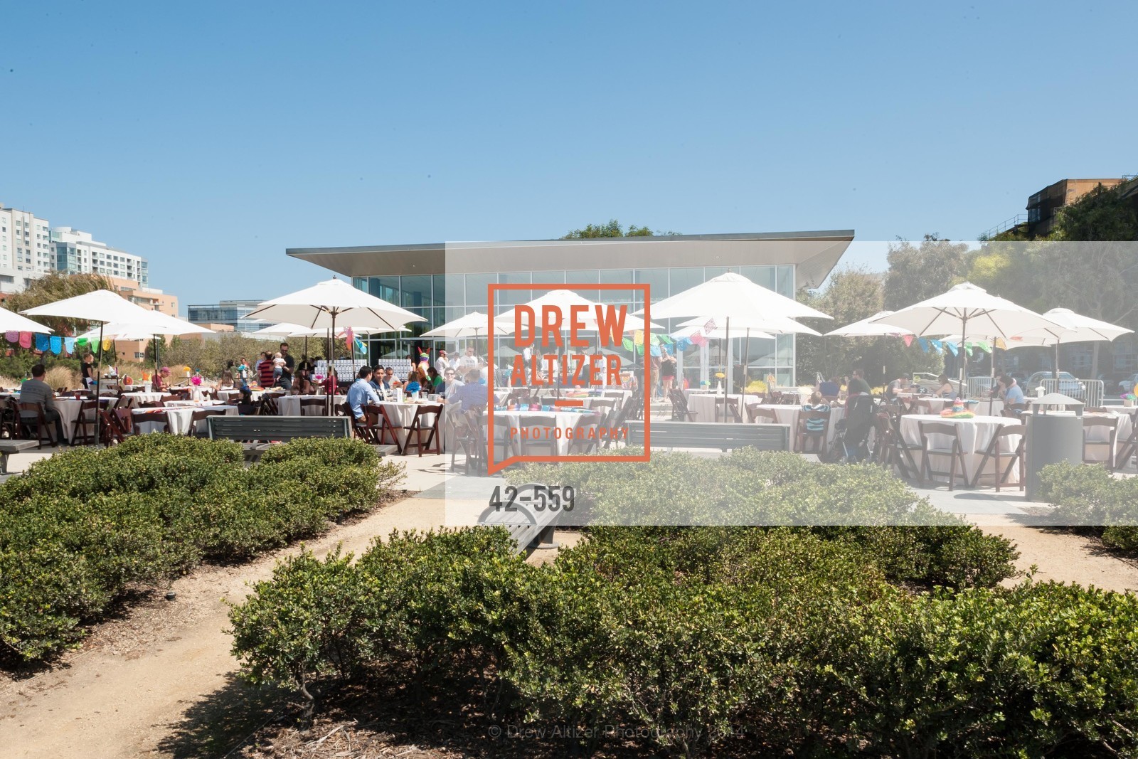 140906-Fusion, PRACTICE FUSION Company Picnic 2014, September 6th, 2014, Photo,Drew Altizer, Drew Altizer Photography, full-service agency, private events, San Francisco photographer, photographer california