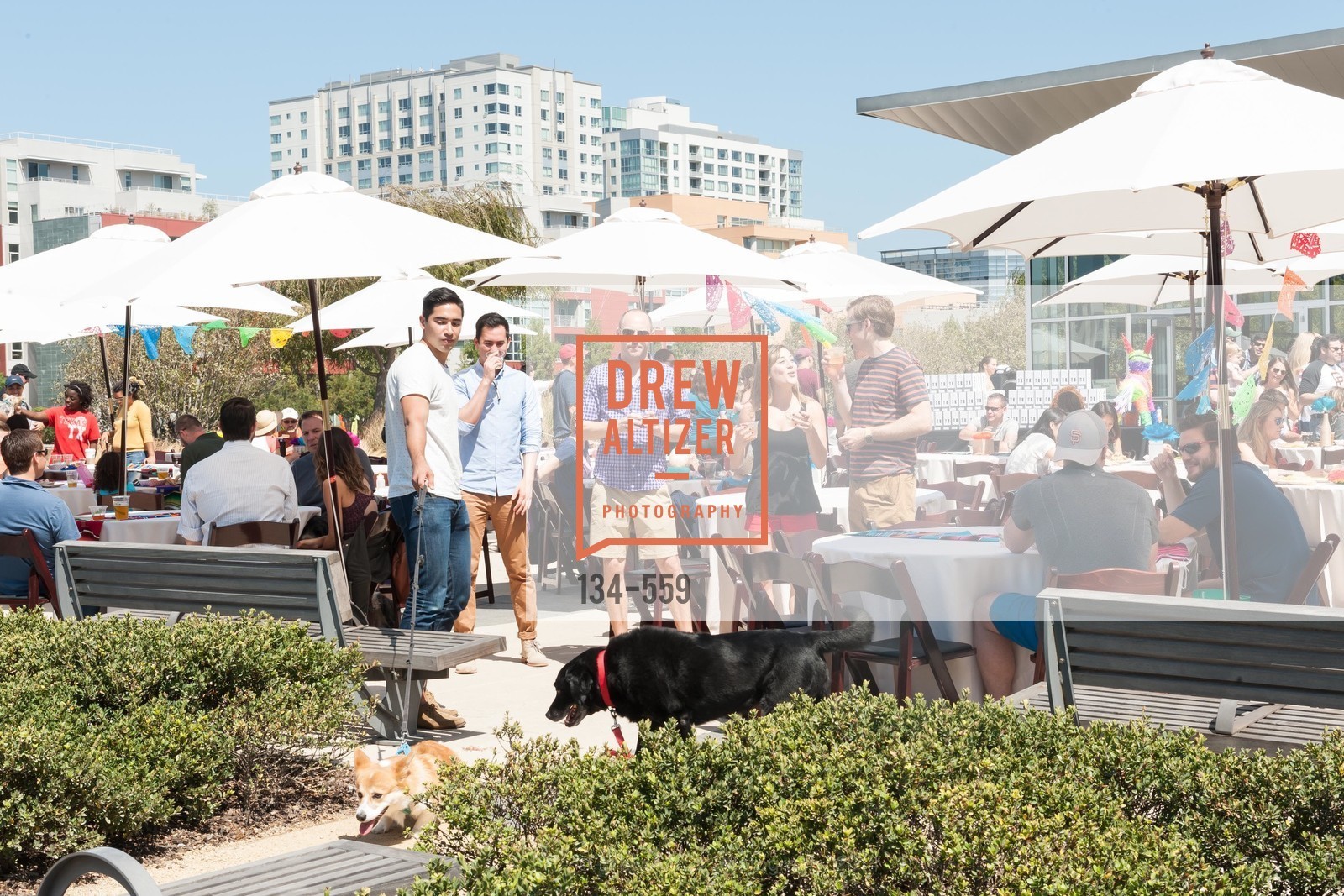 140906-Fusion, PRACTICE FUSION Company Picnic 2014, September 6th, 2014, Photo,Drew Altizer, Drew Altizer Photography, full-service agency, private events, San Francisco photographer, photographer california