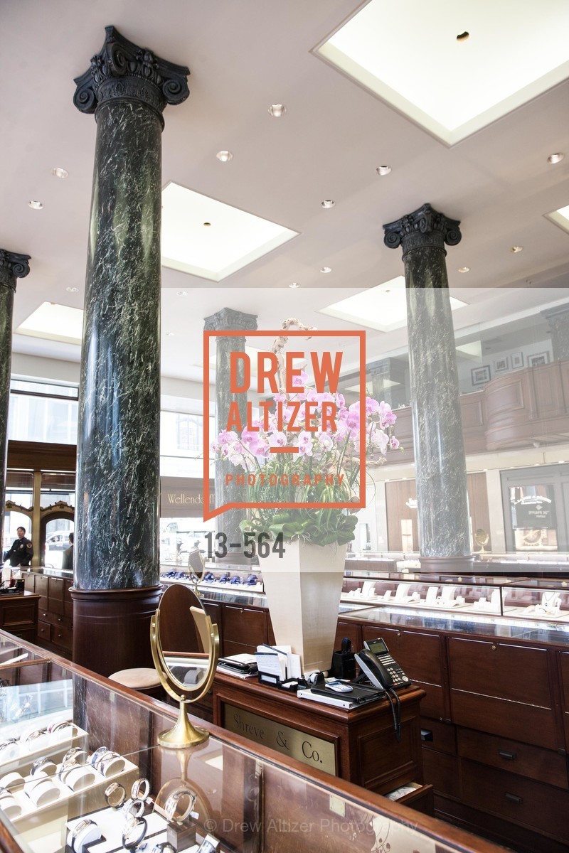 Atmosphere, SHREVE & CO. Hosts AMERICAN CANCER SOCIETY BENEFIT, US, September 10th, 2014,Drew Altizer, Drew Altizer Photography, full-service agency, private events, San Francisco photographer, photographer california