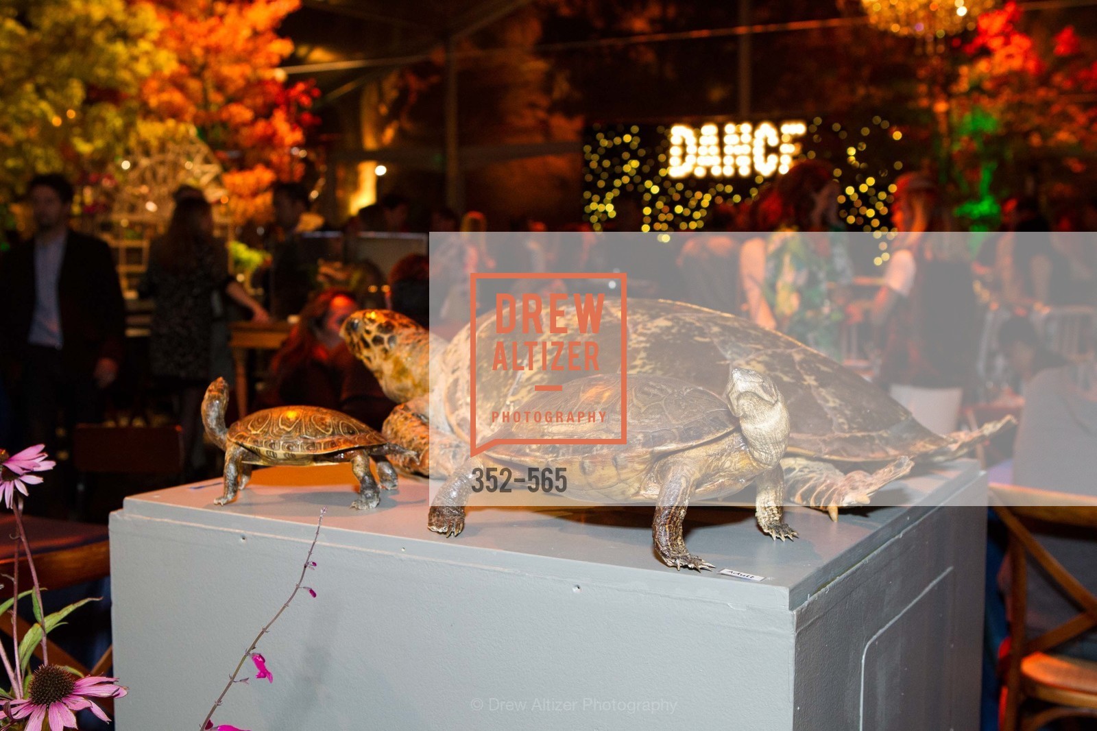 Atmosphere, GLAAD GALA Kick-Off Party Hosted by SAKS FIFTH AVENUE, Saks Fifth Avenue. 384 Post Street, September 12th, 2014,Drew Altizer, Drew Altizer Photography, full-service agency, private events, San Francisco photographer, photographer california