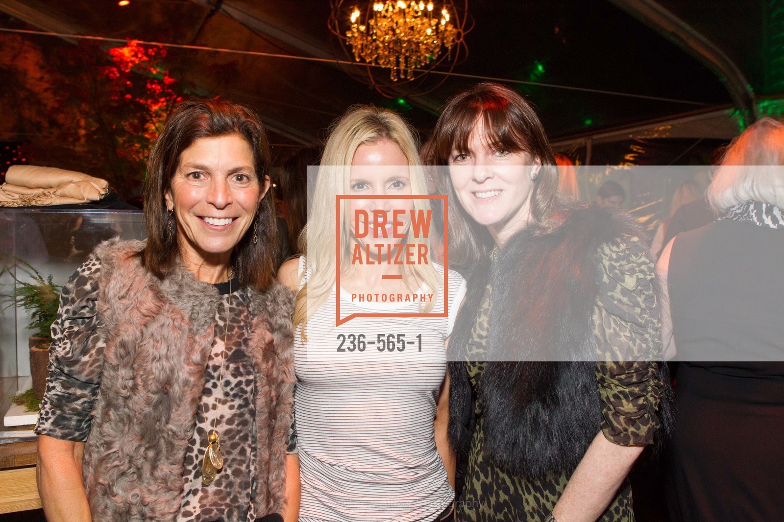 Susan Swig, Lana Adair, Allison Speer, GLAAD GALA Kick-Off Party Hosted by SAKS FIFTH AVENUE, Saks Fifth Avenue. 384 Post Street, September 12th, 2014,Drew Altizer, Drew Altizer Photography, full-service agency, private events, San Francisco photographer, photographer california