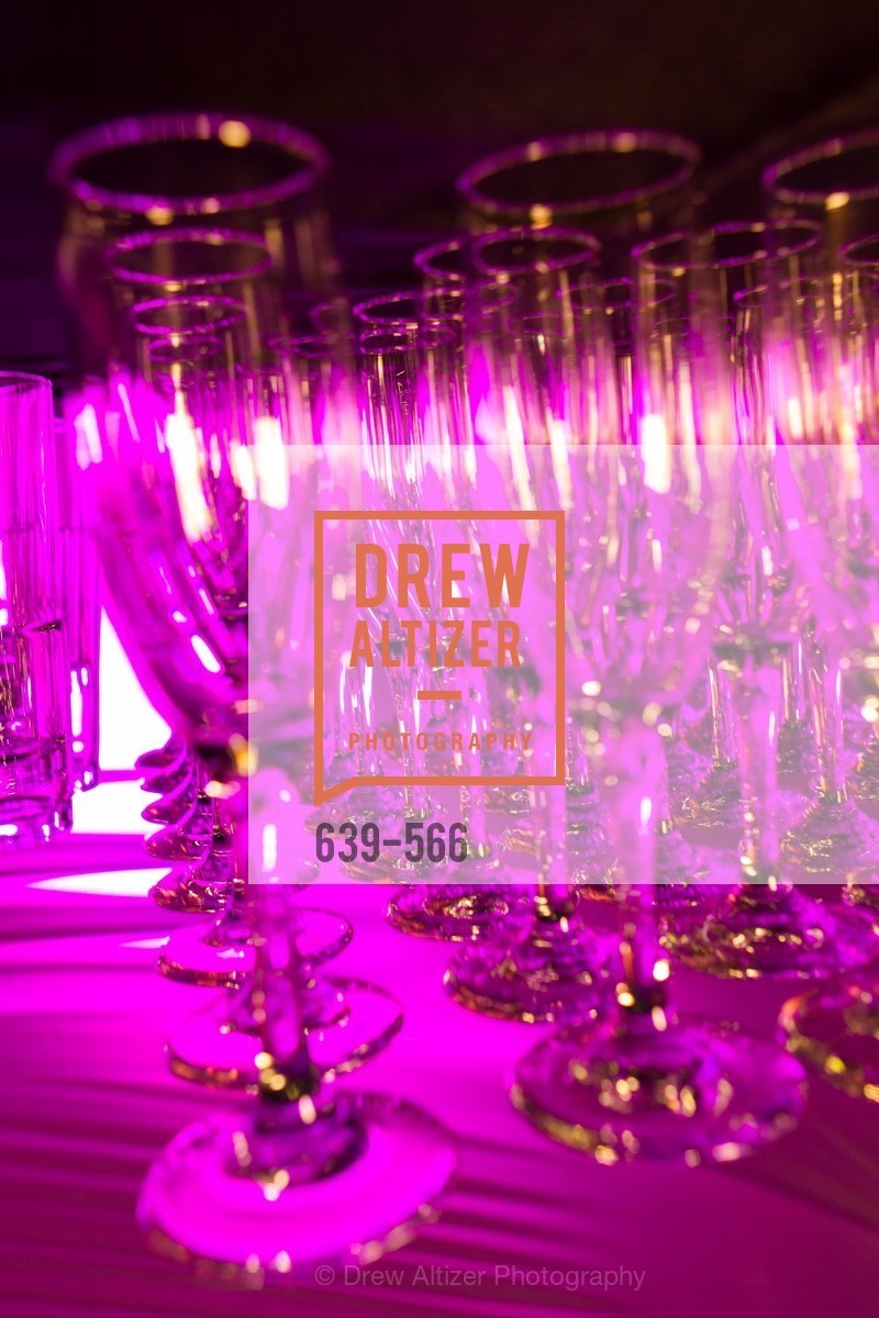 Atmosphere, SAN JOSE MUSEUM OF ART'S Spectrum Gala - 45th Anniversary, US, Photo #639-566 Atmosphere, Photo #639-566