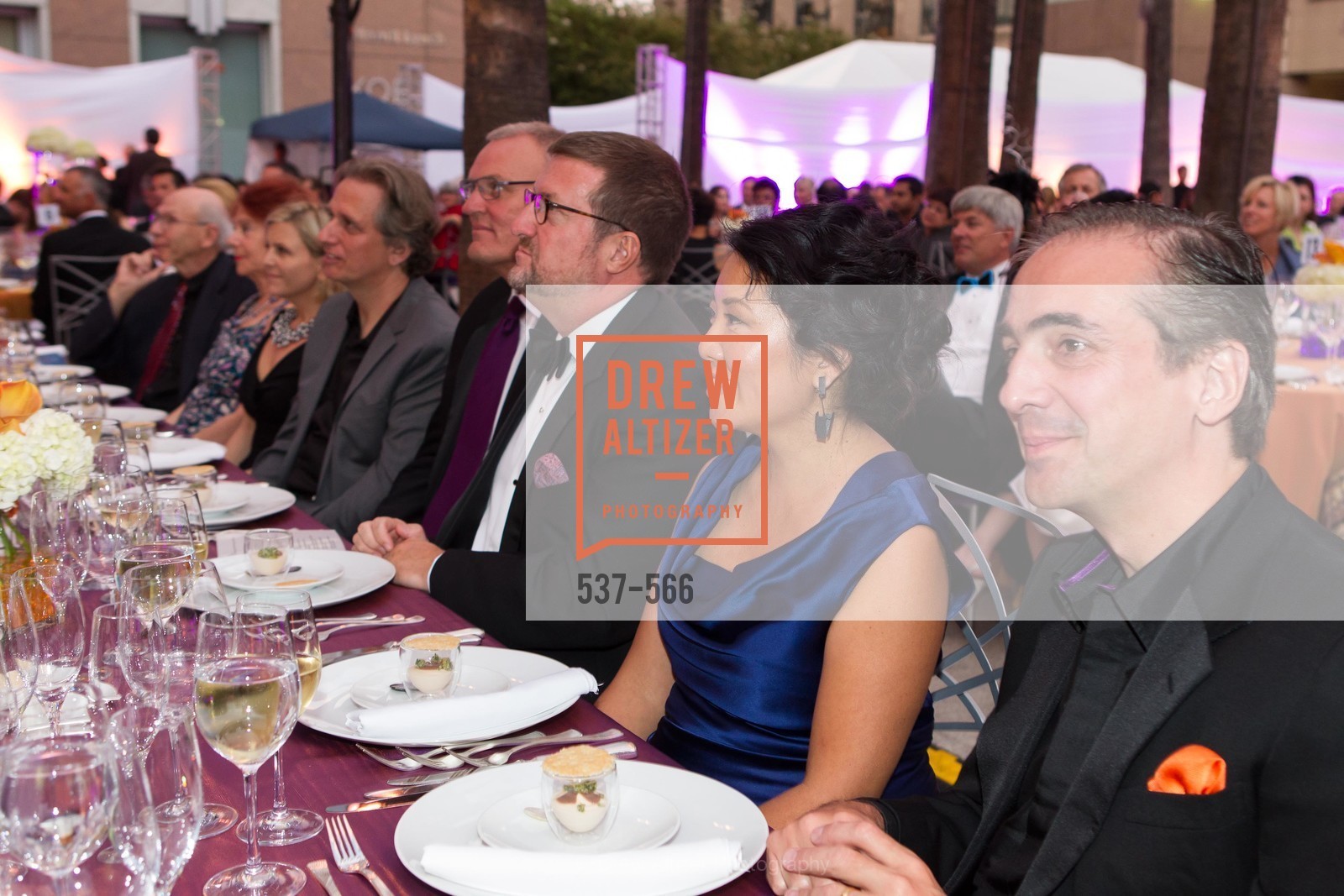 SAN JOSE MUSEUM OF ART'S Spectrum Gala - 45th Anniversary, US, Photo #537-566 Photo #537-566