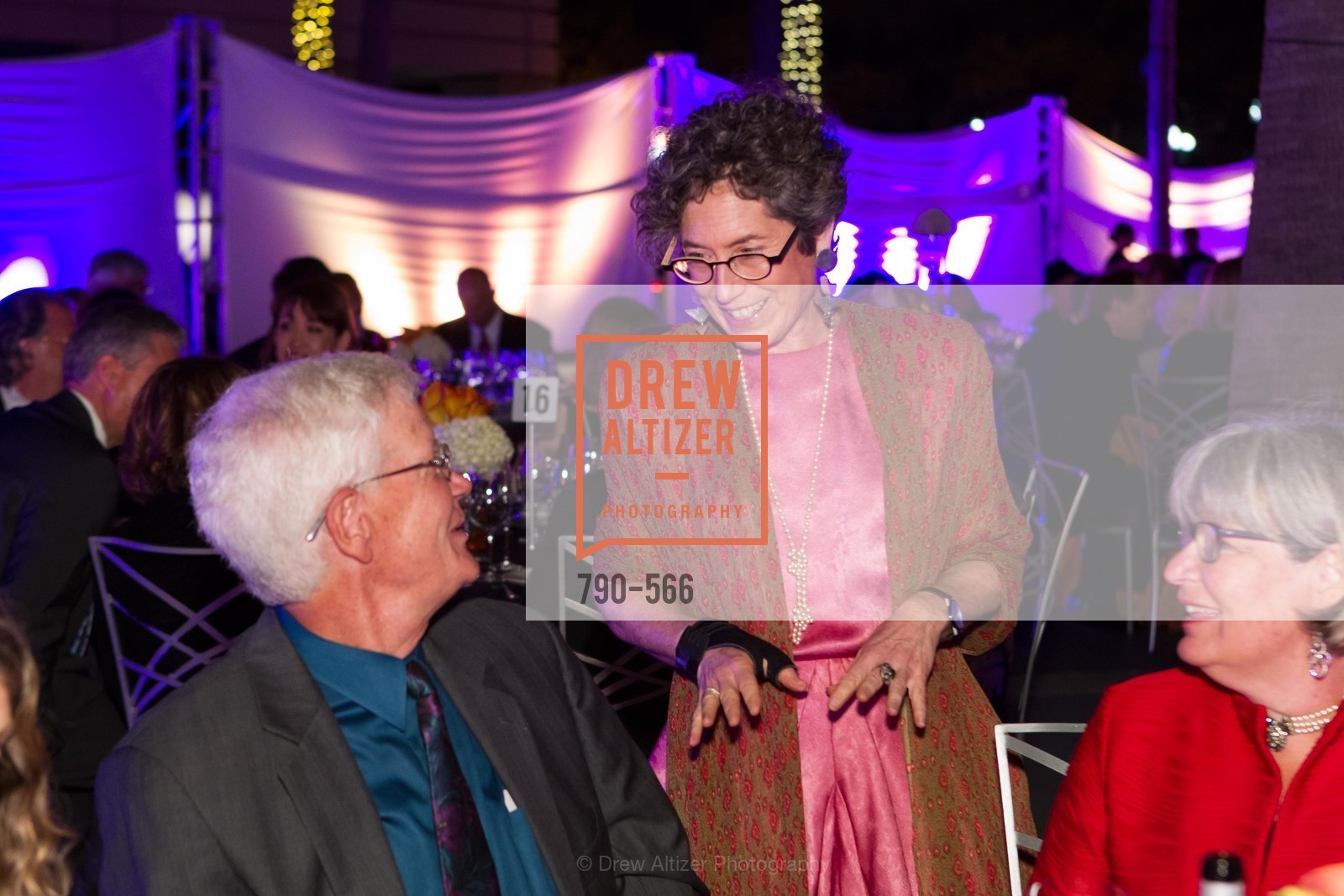 Susan Krane, SAN JOSE MUSEUM OF ART'S Spectrum Gala - 45th Anniversary, US, Photo #790-566 Susan Krane, Photo #790-566
