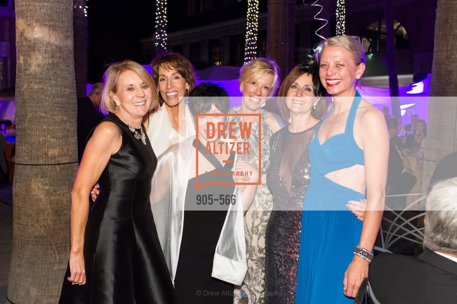 Mary Mocas, Rana Davis, Hidy Shandell, Wanda Kownacki, Aileen Silver, SAN JOSE MUSEUM OF ART'S Spectrum Gala - 45th Anniversary, US, September 13th, 2014,Drew Altizer, Drew Altizer Photography, full-service agency, private events, San Francisco photographer, photographer california