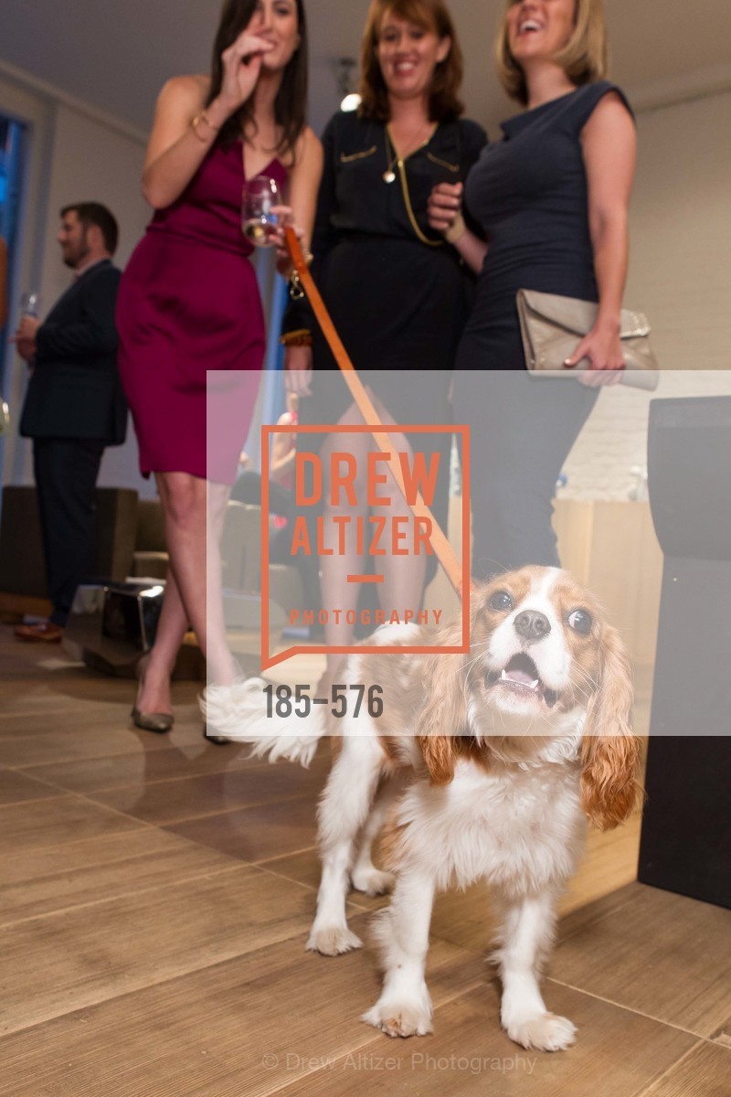 Atmosphere, SF FALL ANTIQUES SHOW Designer's Circle Cocktail Party at HEWN, US, September 23rd, 2014,Drew Altizer, Drew Altizer Photography, full-service agency, private events, San Francisco photographer, photographer california