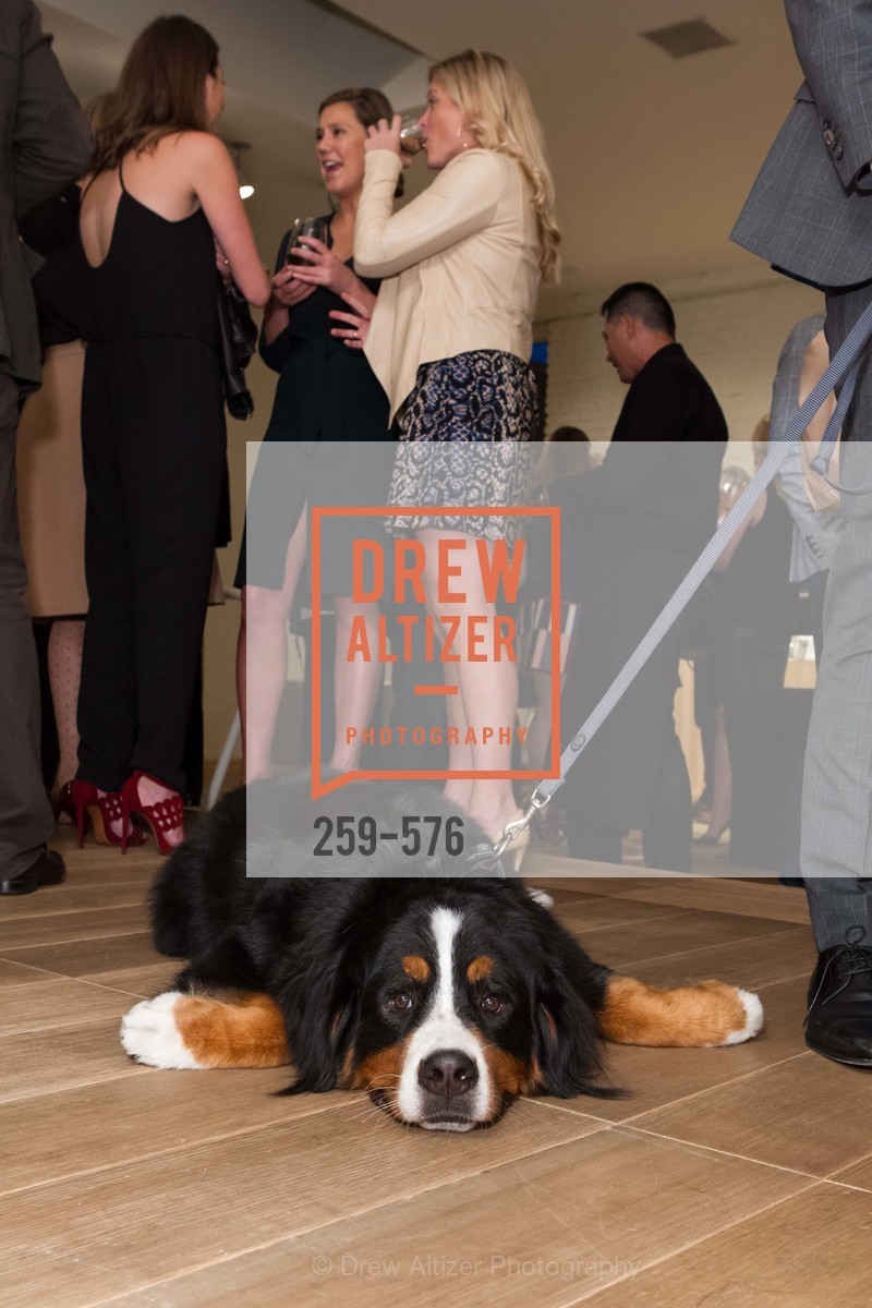 Atmosphere, SF FALL ANTIQUES SHOW Designer's Circle Cocktail Party at HEWN, US, September 23rd, 2014,Drew Altizer, Drew Altizer Photography, full-service agency, private events, San Francisco photographer, photographer california
