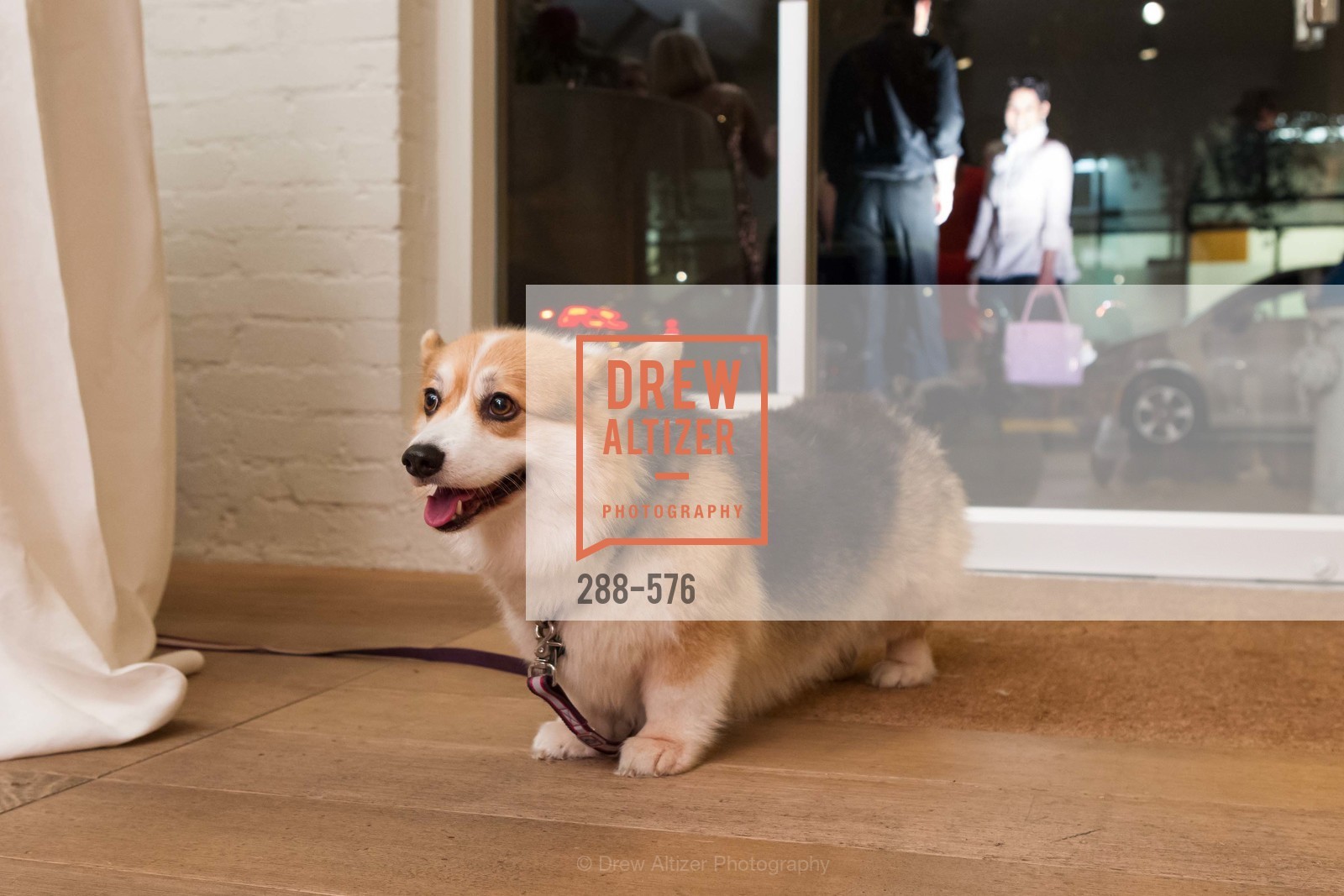 Atmosphere, SF FALL ANTIQUES SHOW Designer's Circle Cocktail Party at HEWN, US, September 23rd, 2014,Drew Altizer, Drew Altizer Photography, full-service agency, private events, San Francisco photographer, photographer california
