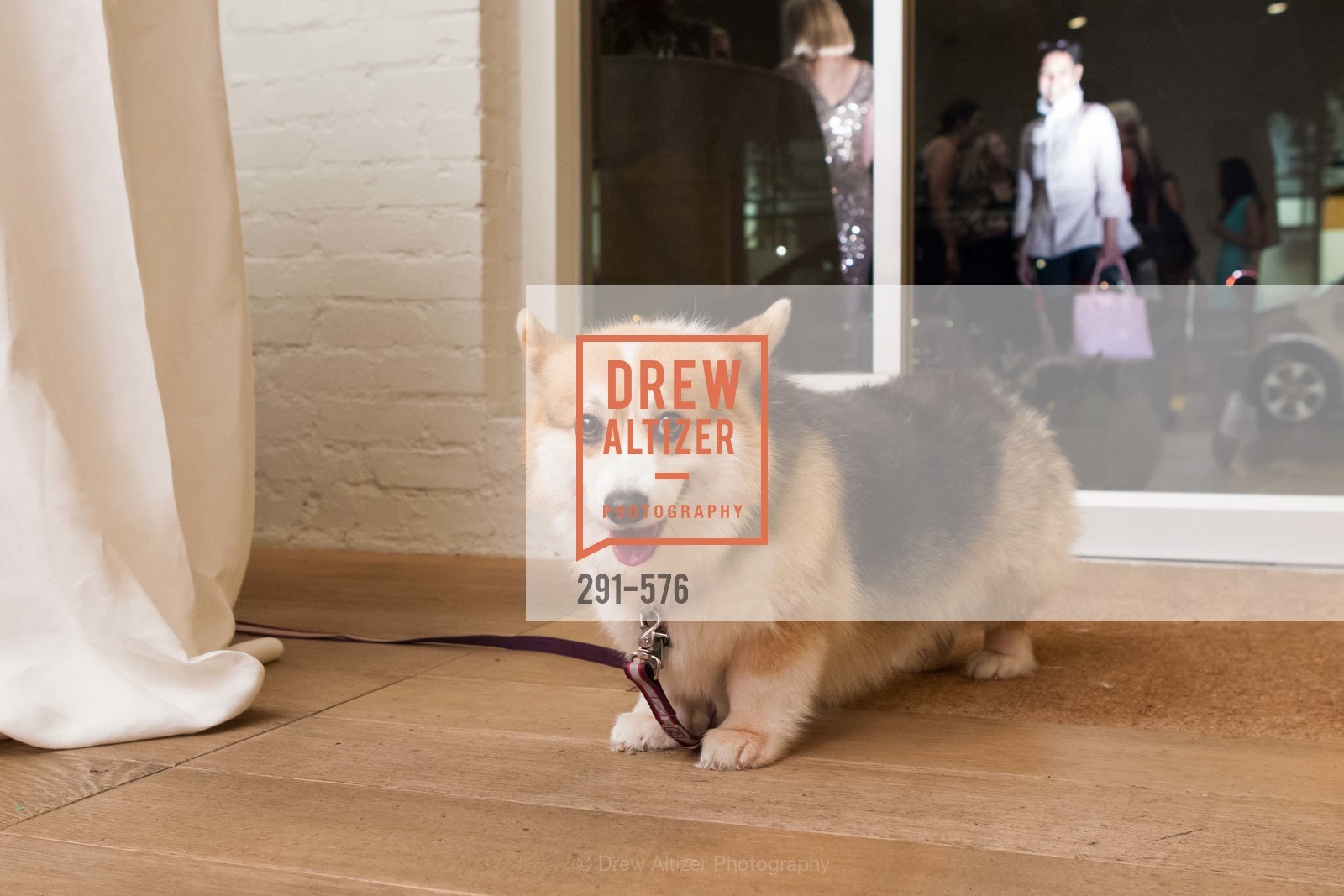 Atmosphere, SF FALL ANTIQUES SHOW Designer's Circle Cocktail Party at HEWN, US, September 23rd, 2014,Drew Altizer, Drew Altizer Photography, full-service agency, private events, San Francisco photographer, photographer california