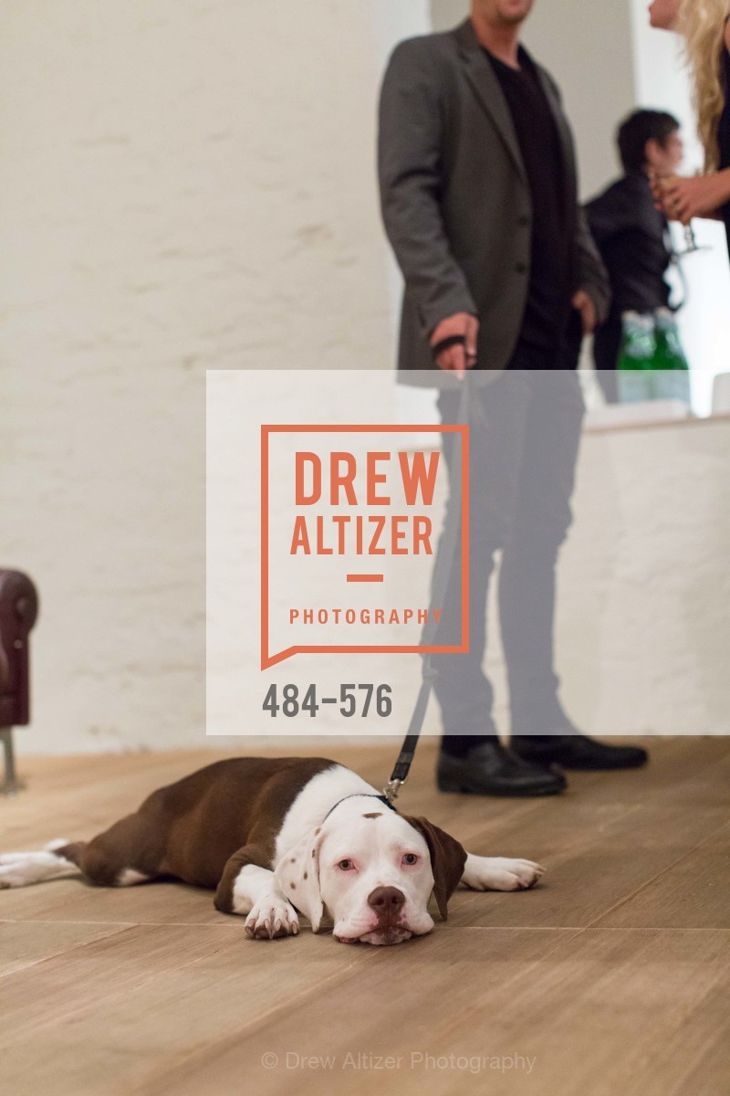 Atmosphere, SF FALL ANTIQUES SHOW Designer's Circle Cocktail Party at HEWN, US, September 23rd, 2014,Drew Altizer, Drew Altizer Photography, full-service agency, private events, San Francisco photographer, photographer california