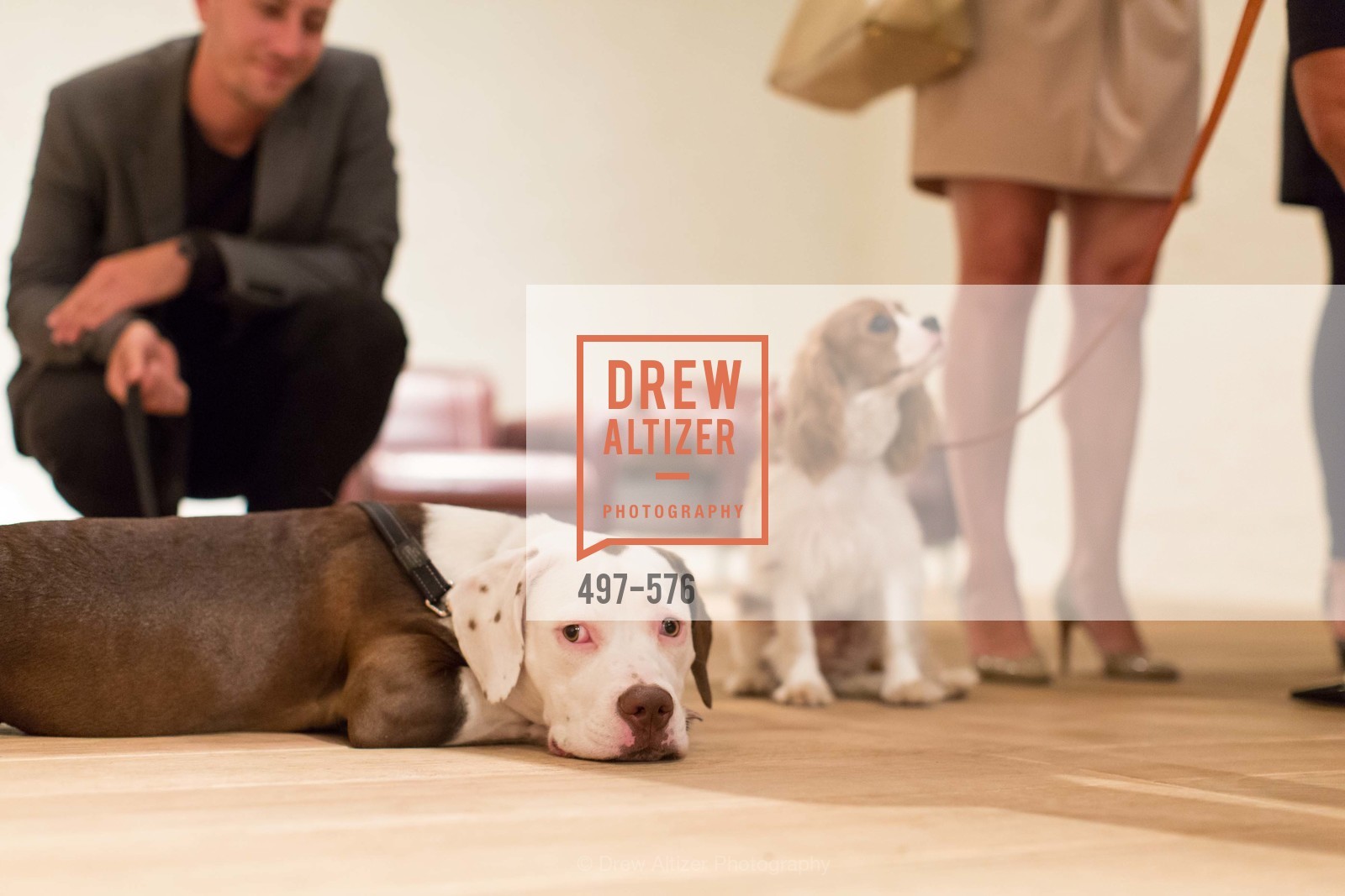 Atmosphere, SF FALL ANTIQUES SHOW Designer's Circle Cocktail Party at HEWN, US, September 23rd, 2014,Drew Altizer, Drew Altizer Photography, full-service agency, private events, San Francisco photographer, photographer california