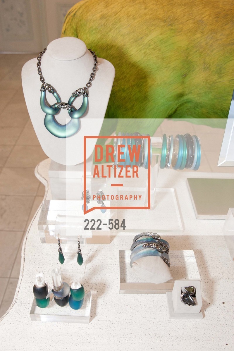 Atmosphere, Alexis Bittar Event; Support of the San Francisco Fall Antique Show Benefitting Enterprise for High School Students Francisco Fall Antique Show, benefiting Enterprise for High School Students, US, October 2nd, 2014,Drew Altizer, Drew Altizer Photography, full-service agency, private events, San Francisco photographer, photographer california