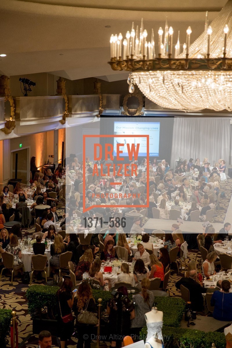 Atmosphere, 2014 Bay Area ARTHRITIS AUXILLIARY Benefit & Fashion Show, US, October 2nd, 2014,Drew Altizer, Drew Altizer Photography, full-service agency, private events, San Francisco photographer, photographer california