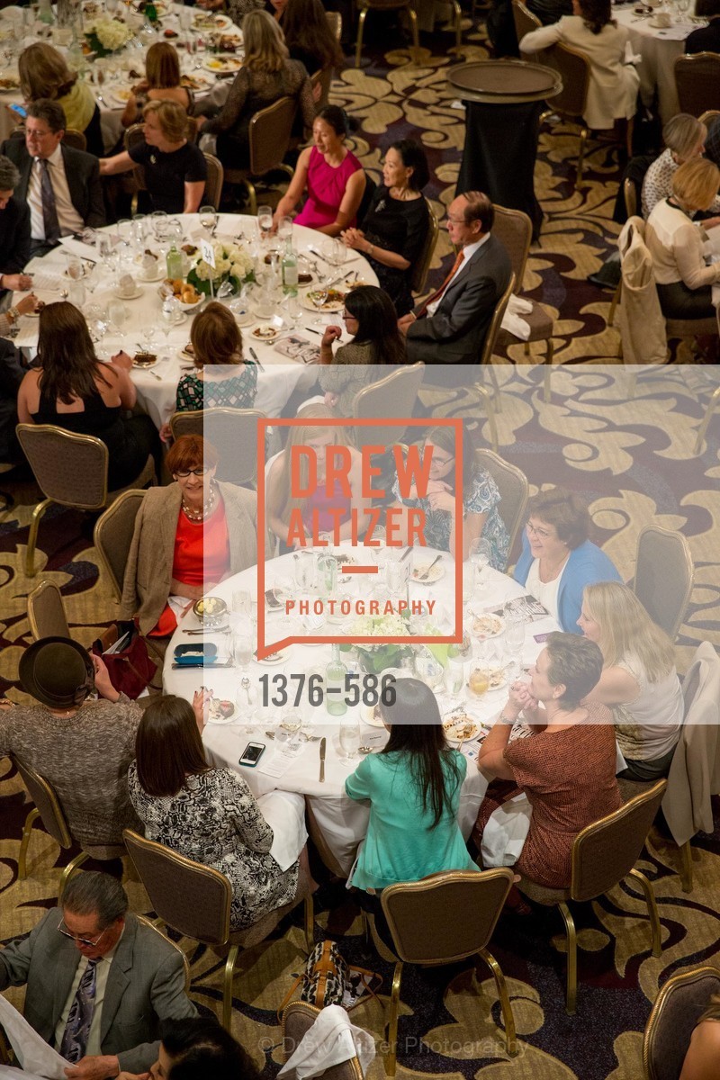 Atmosphere, 2014 Bay Area ARTHRITIS AUXILLIARY Benefit & Fashion Show, US, October 2nd, 2014,Drew Altizer, Drew Altizer Photography, full-service agency, private events, San Francisco photographer, photographer california