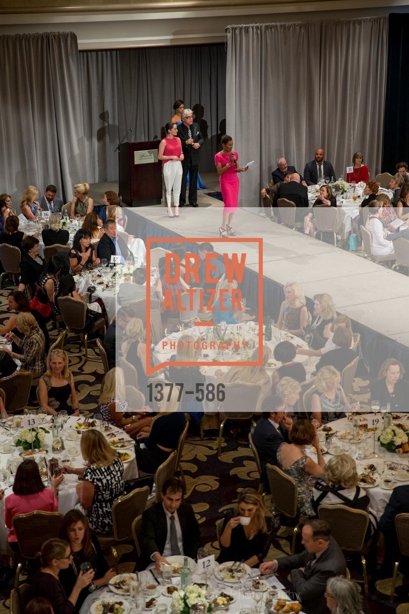 Atmosphere, 2014 Bay Area ARTHRITIS AUXILLIARY Benefit & Fashion Show, US, October 2nd, 2014,Drew Altizer, Drew Altizer Photography, full-service agency, private events, San Francisco photographer, photographer california